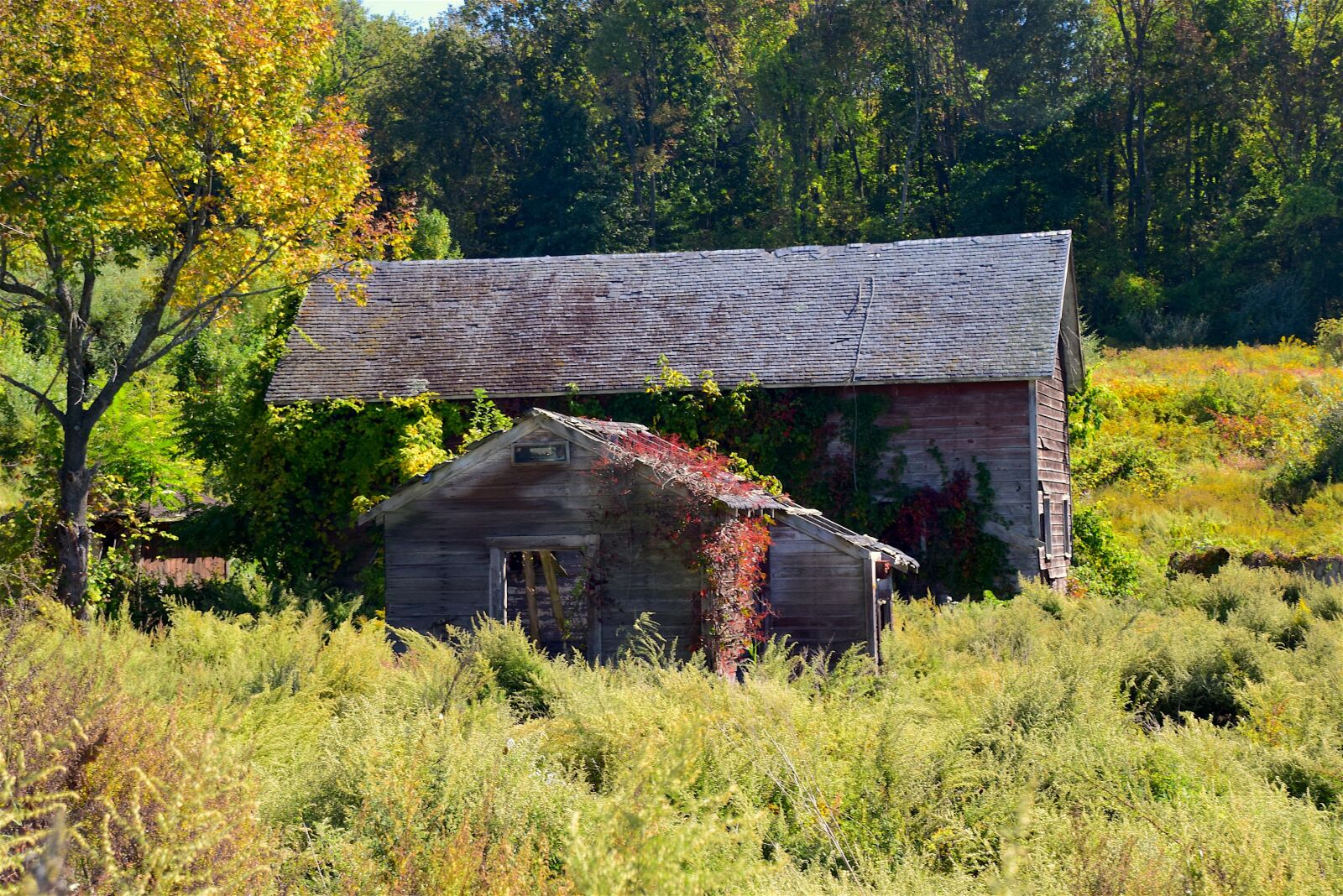 Nikon D3300 sample photo. Old building, rural, old photography