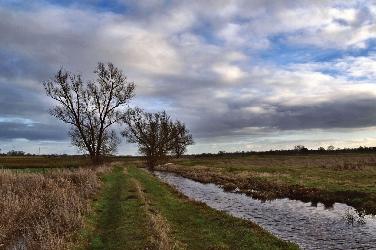 Nikon D5600 sample photo. Landscape, agriculture, rural photography