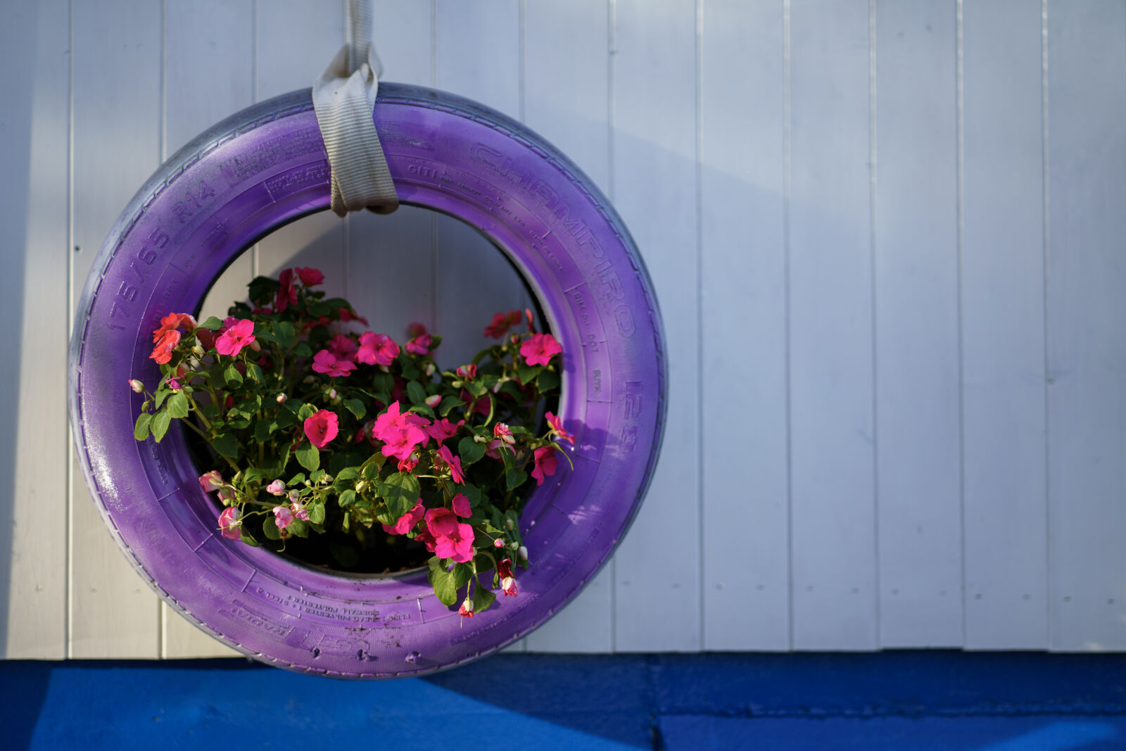 Sony a7R IV sample photo. Clever flower pot photography
