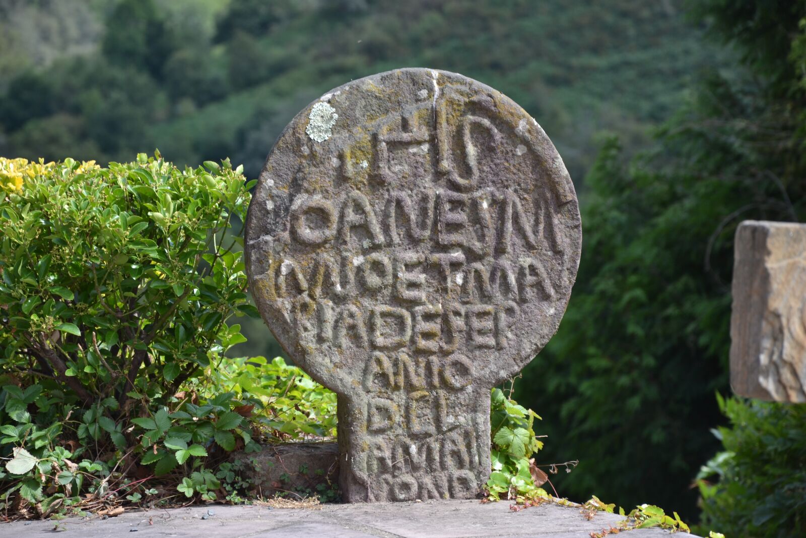 Nikon D3100 sample photo. Cross, cemetery, basque photography