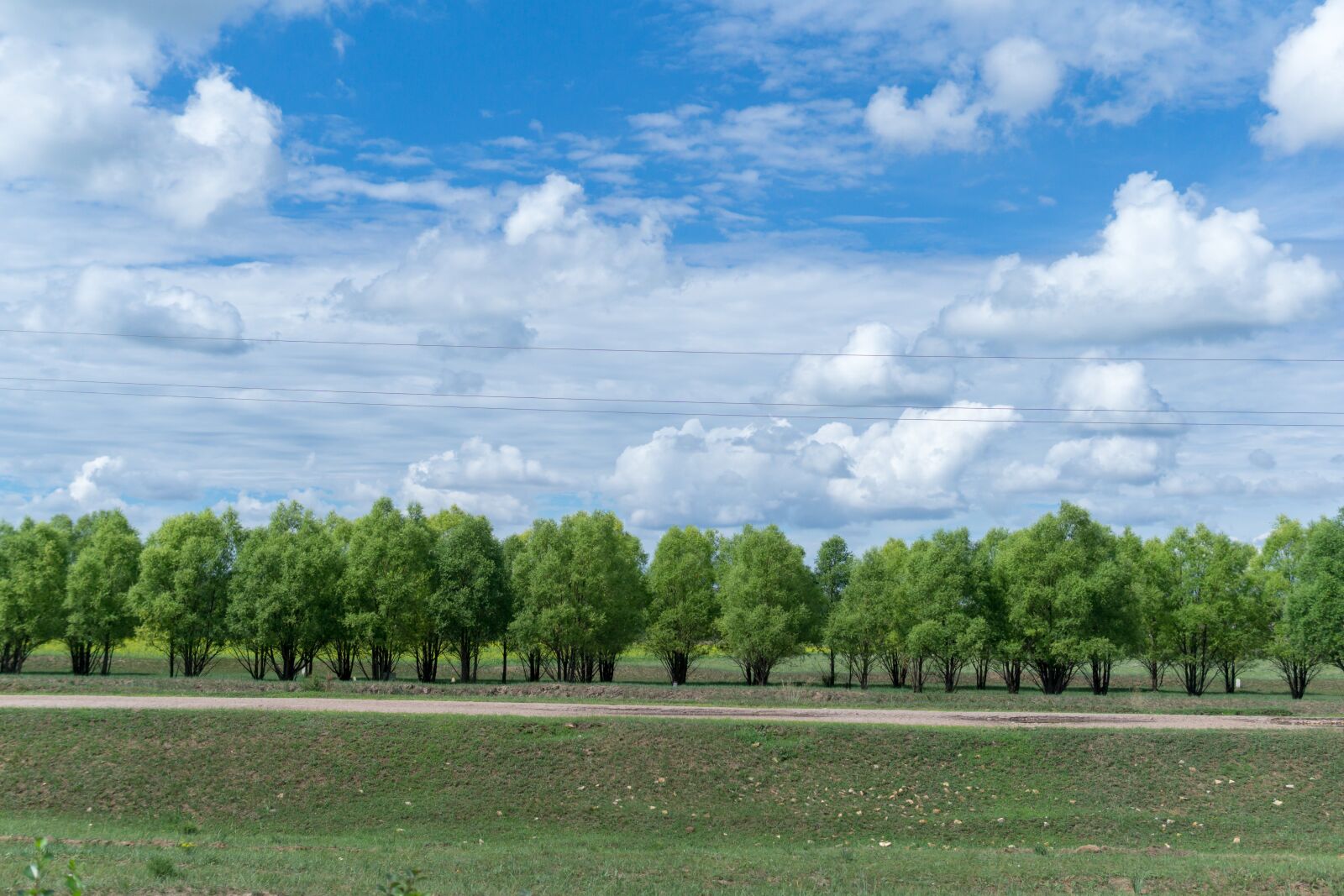 Sony a5100 sample photo. Blue sky, white cloud photography