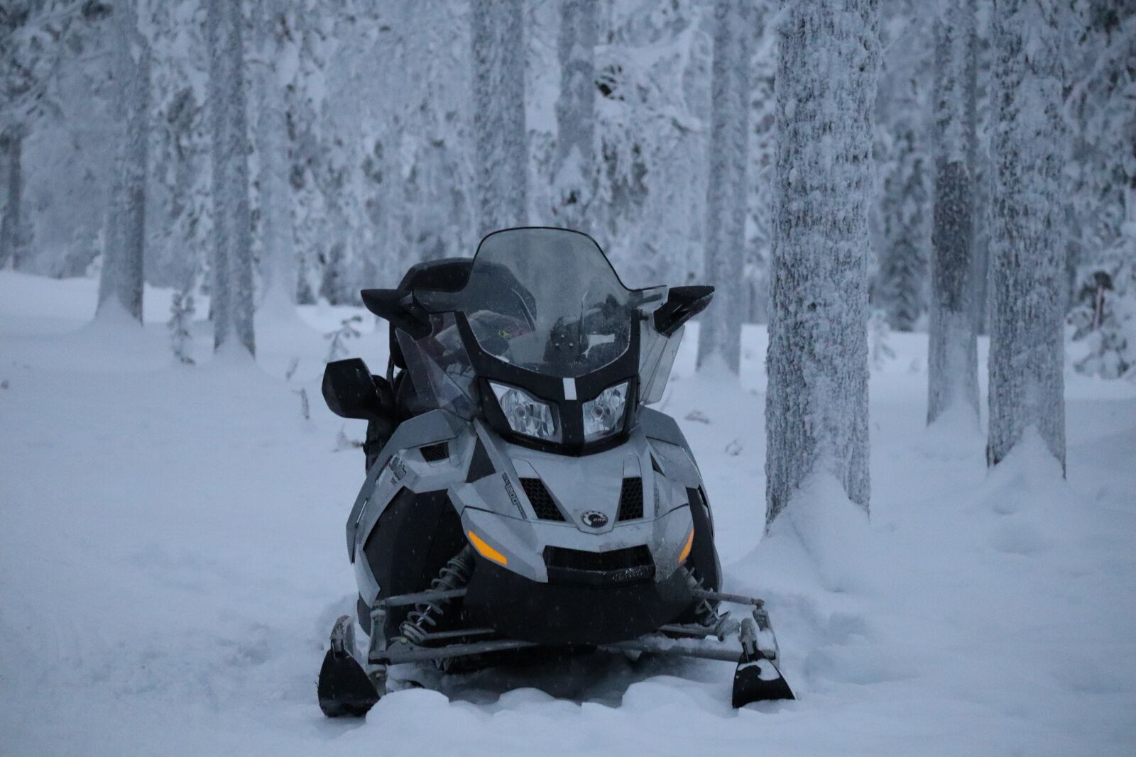 Canon EOS M50 (EOS Kiss M) sample photo. Winter, snowmobile, sledding photography