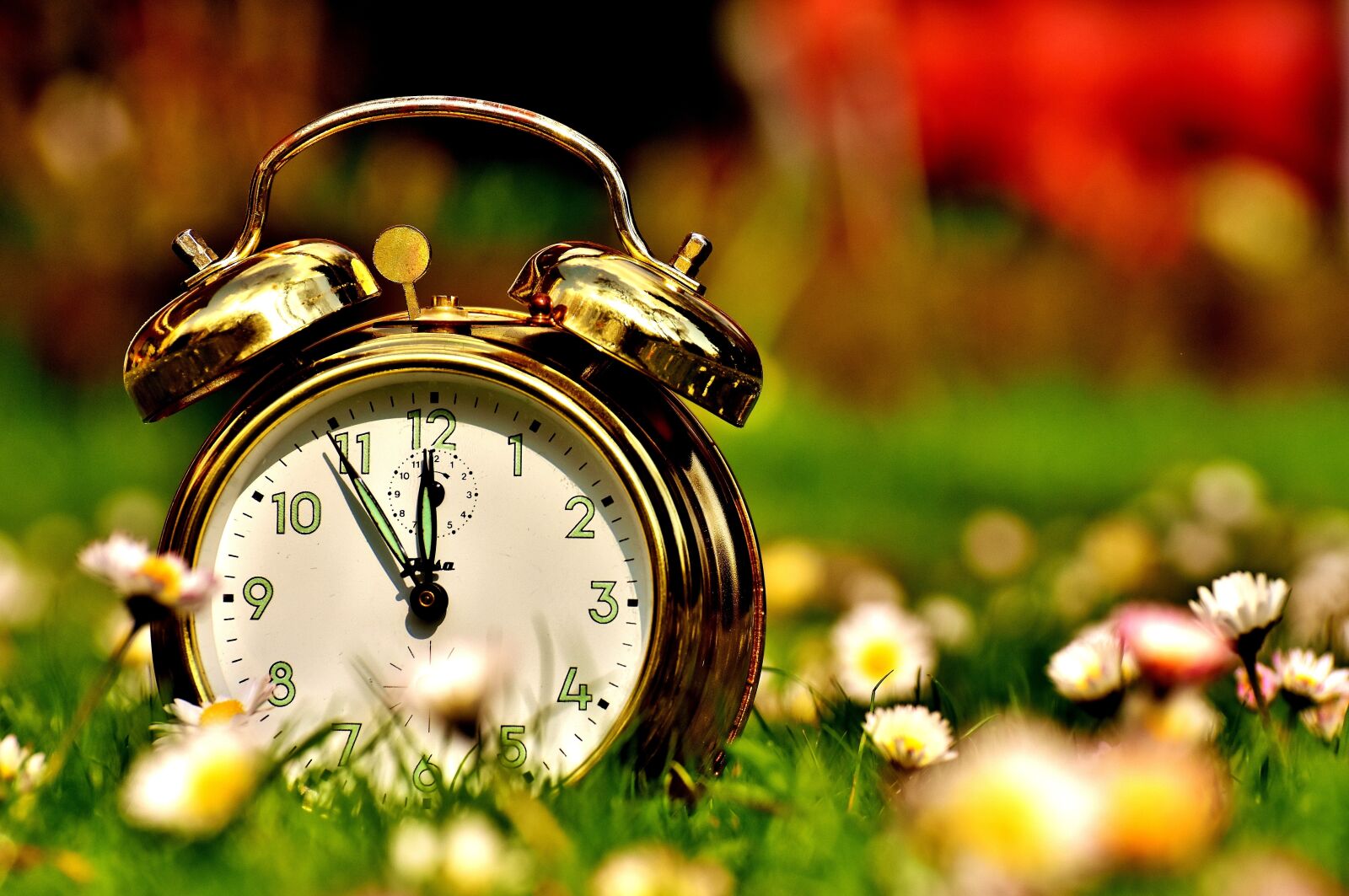 Nikon D7200 sample photo. The eleventh hour, environmental photography