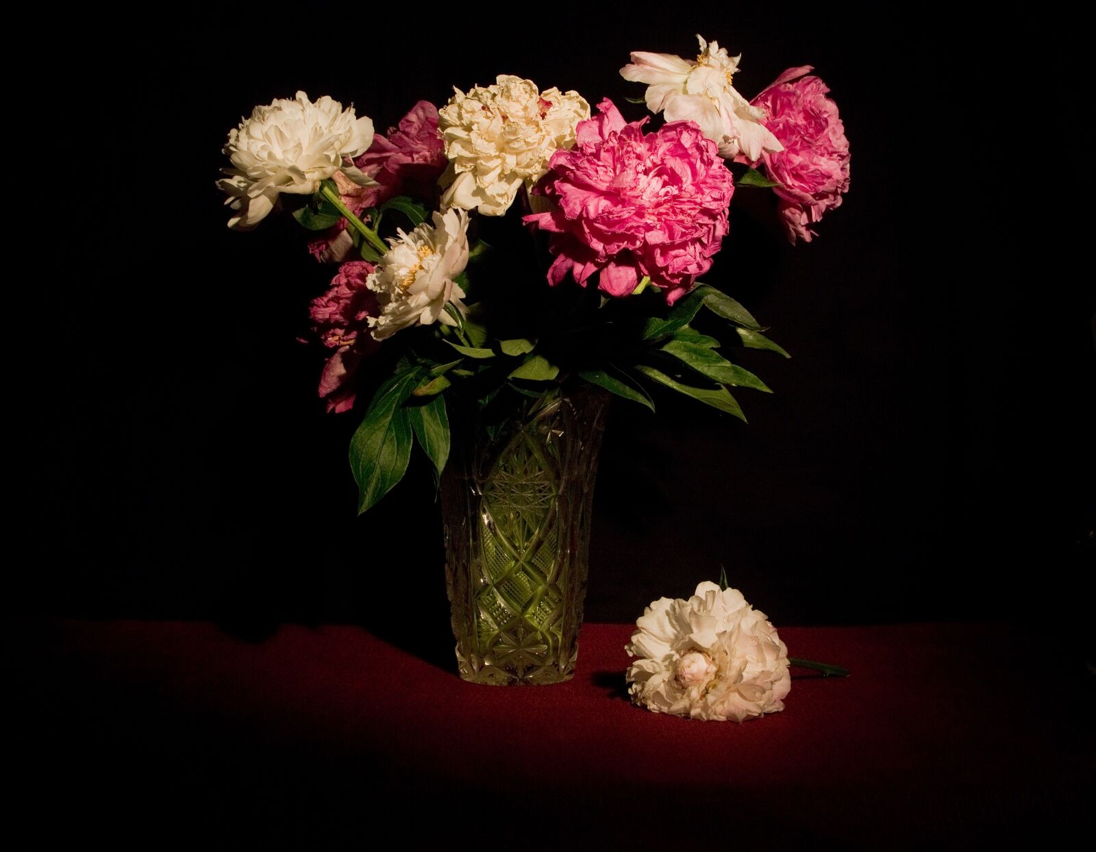 Canon EOS 760D (EOS Rebel T6s / EOS 8000D) sample photo. Still life, flowers, peonies photography