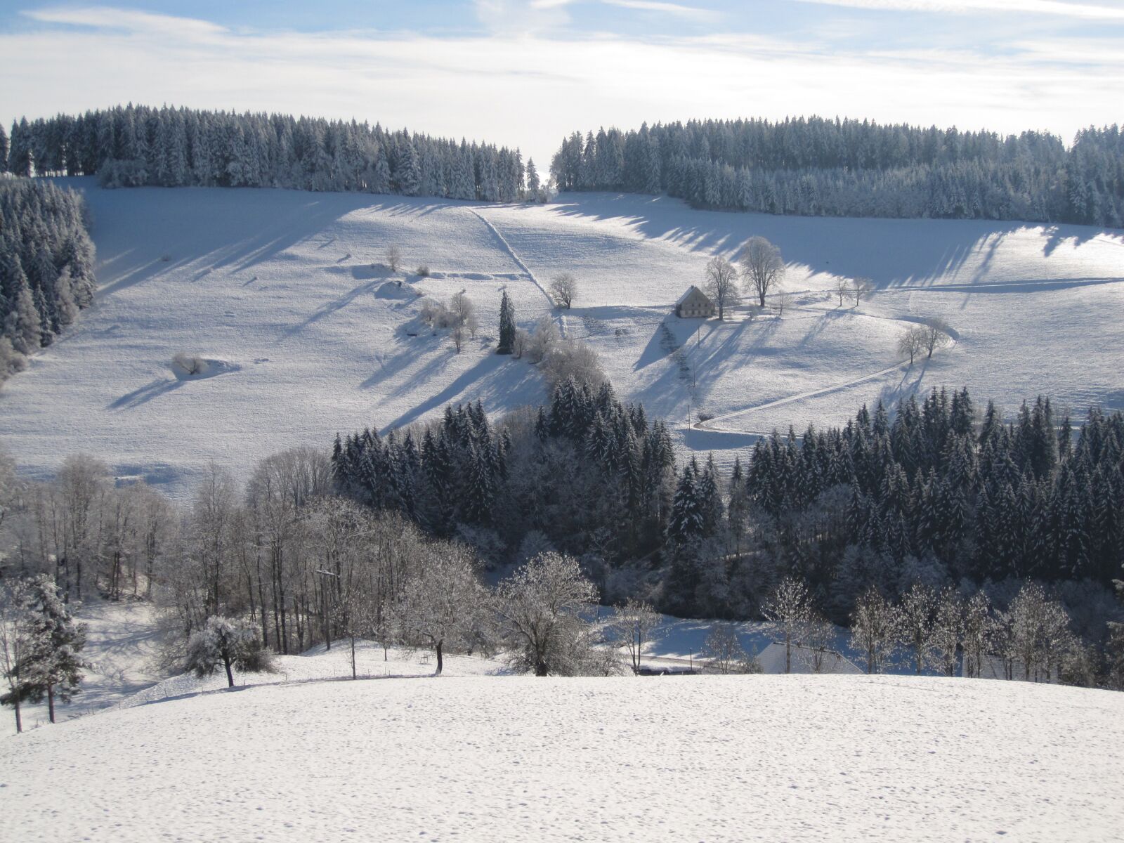 Canon PowerShot SD780 IS (Digital IXUS 100 IS / IXY Digital 210 IS) sample photo. Winter, snow landscape, snow photography