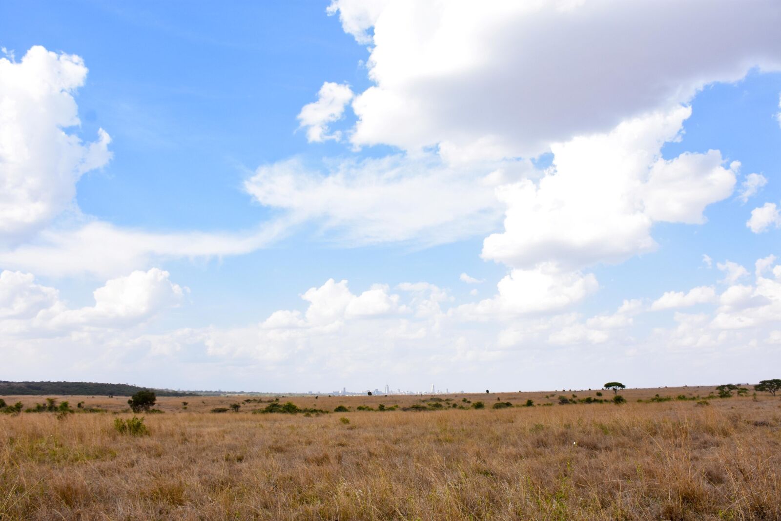 Nikon D7200 sample photo. Landscape, kenya, savanna photography