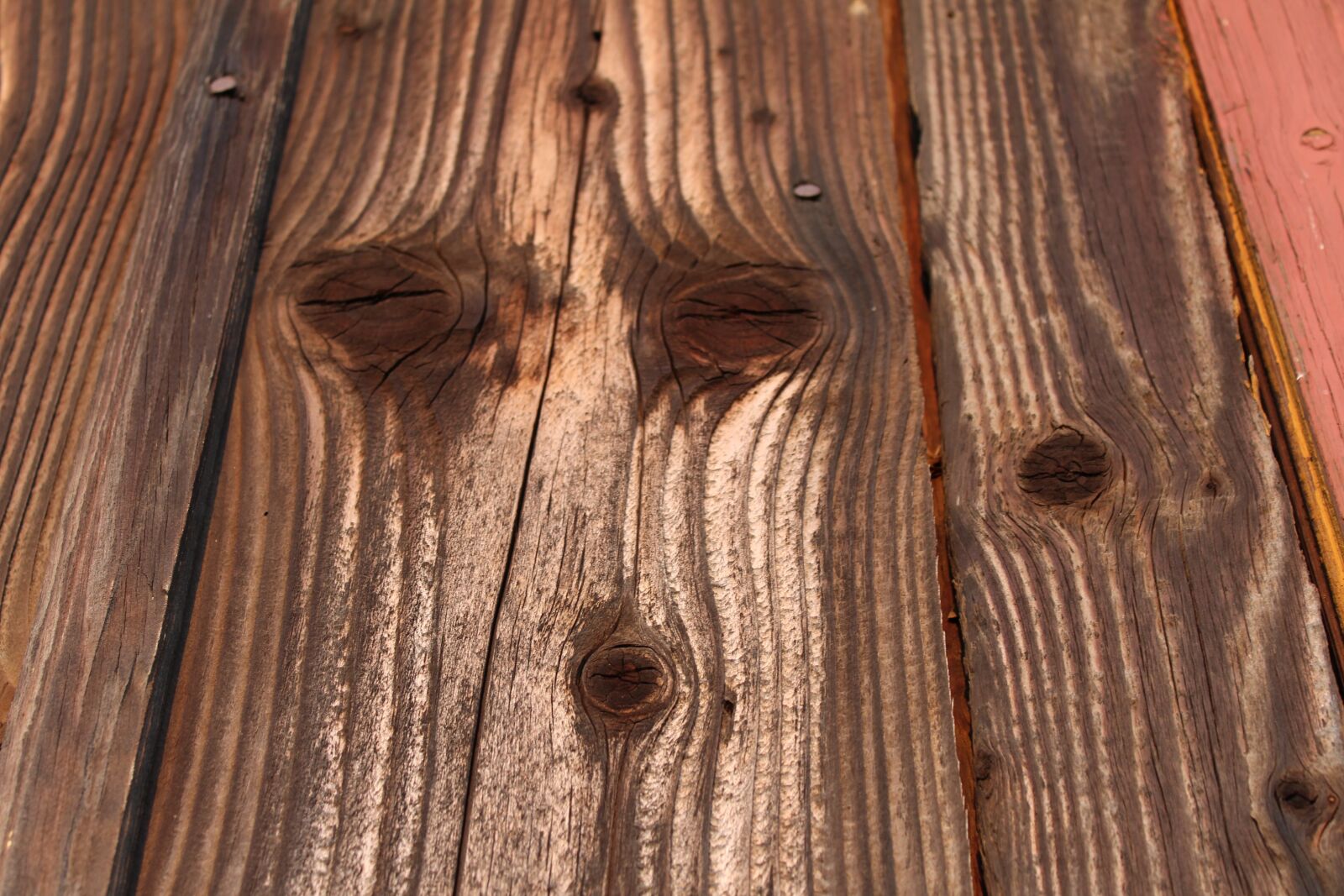 Canon EOS 1300D (EOS Rebel T6 / EOS Kiss X80) sample photo. Wooden, texture, old photography
