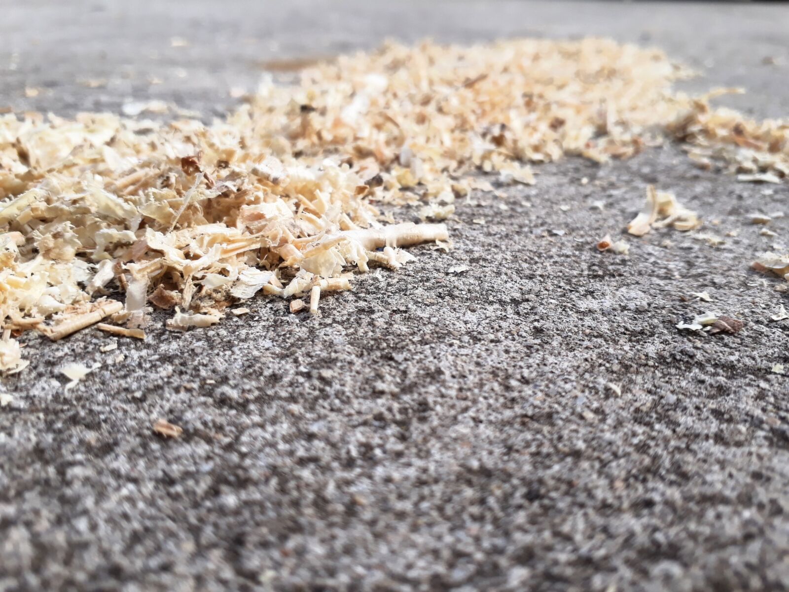 Samsung Galaxy J5 Prime sample photo. Driveway, saw dust art photography