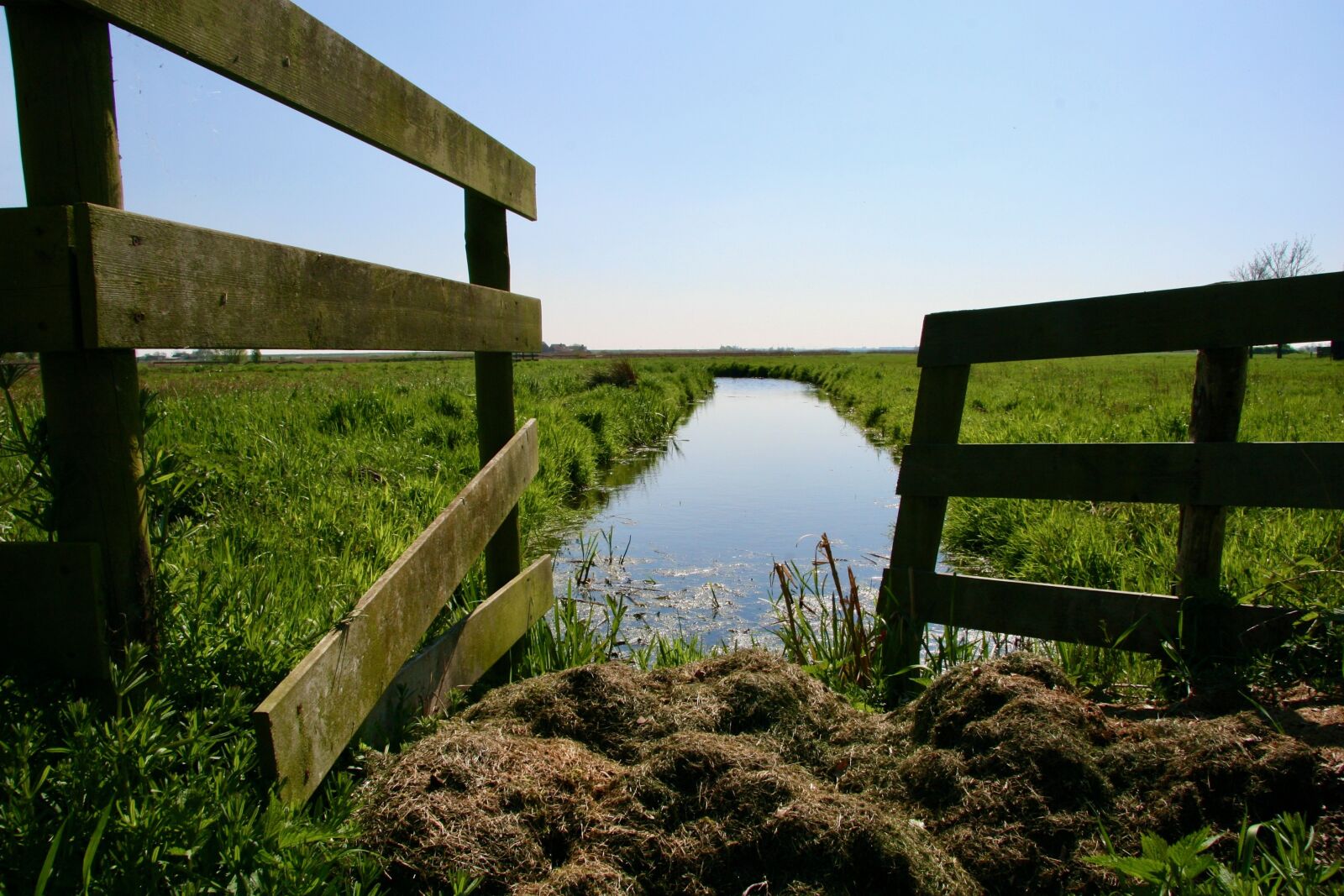 Canon EOS 30D sample photo. Pasture, nature, landscape photography