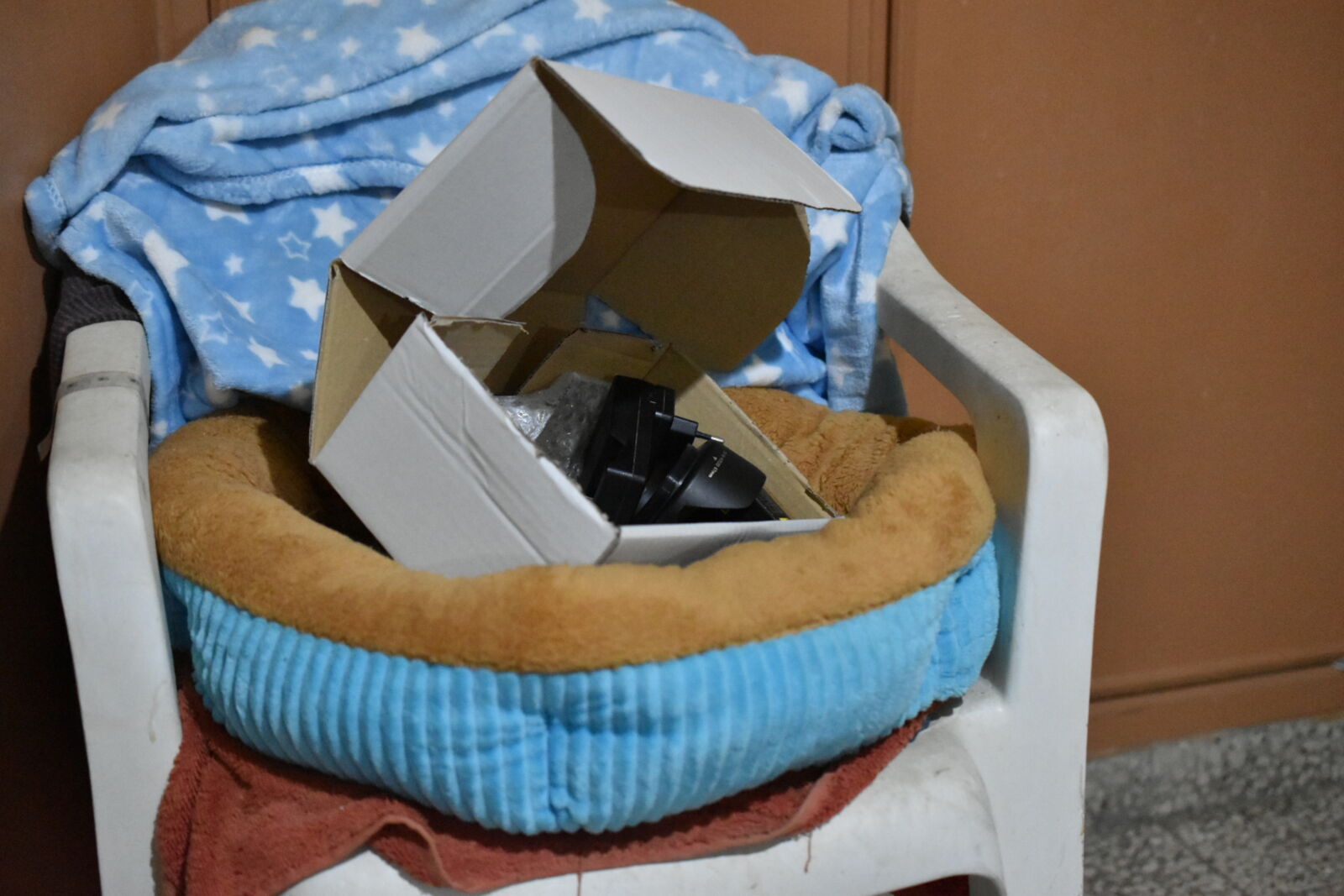 Nikon D5600 sample photo