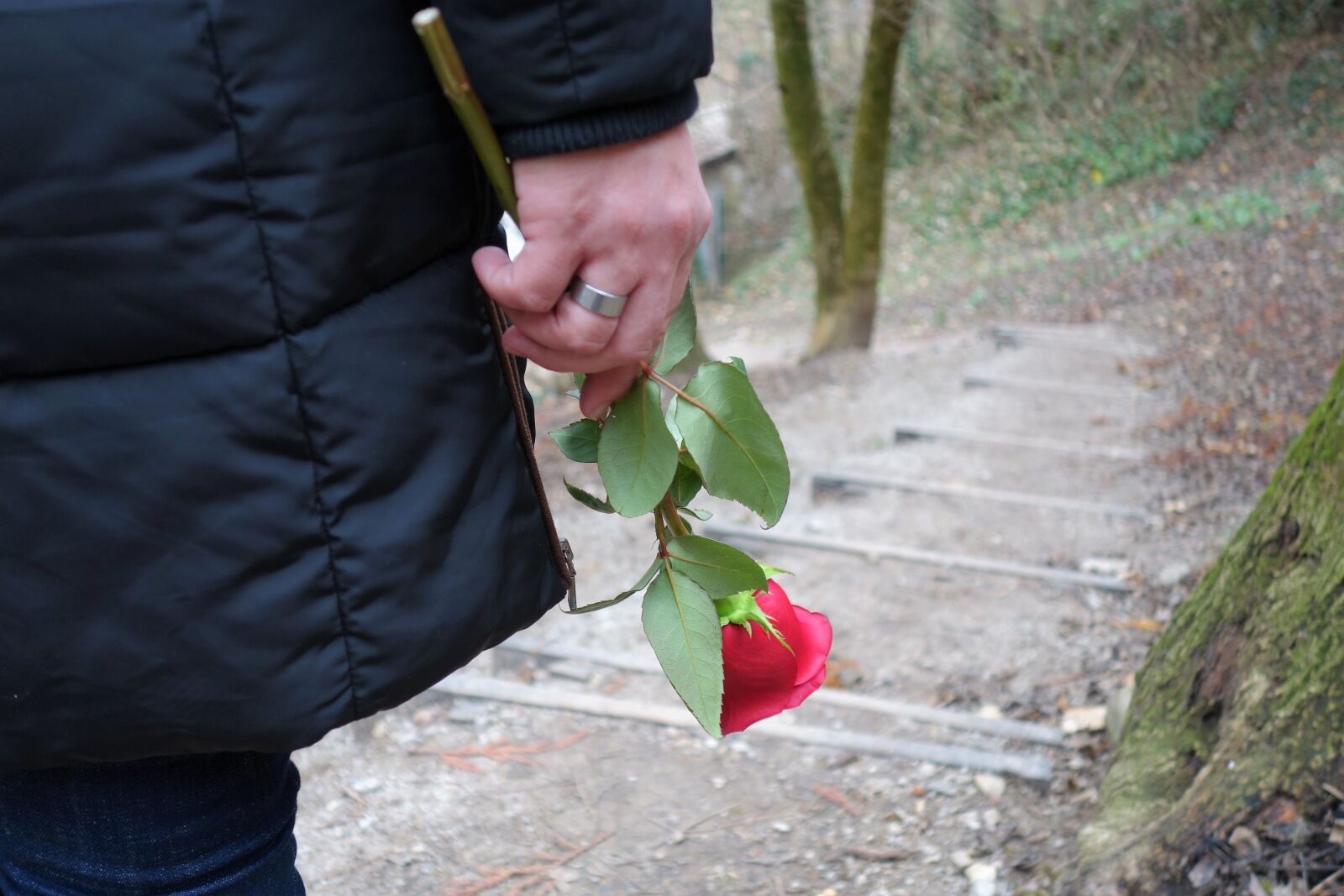 Sony Cyber-shot DSC-RX100 II sample photo. Girl with red rose photography
