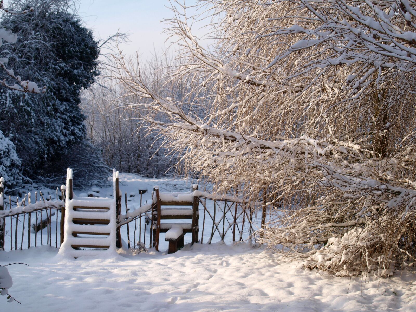 Olympus E-520 (EVOLT E-520) sample photo. Snow, winter, landscape photography