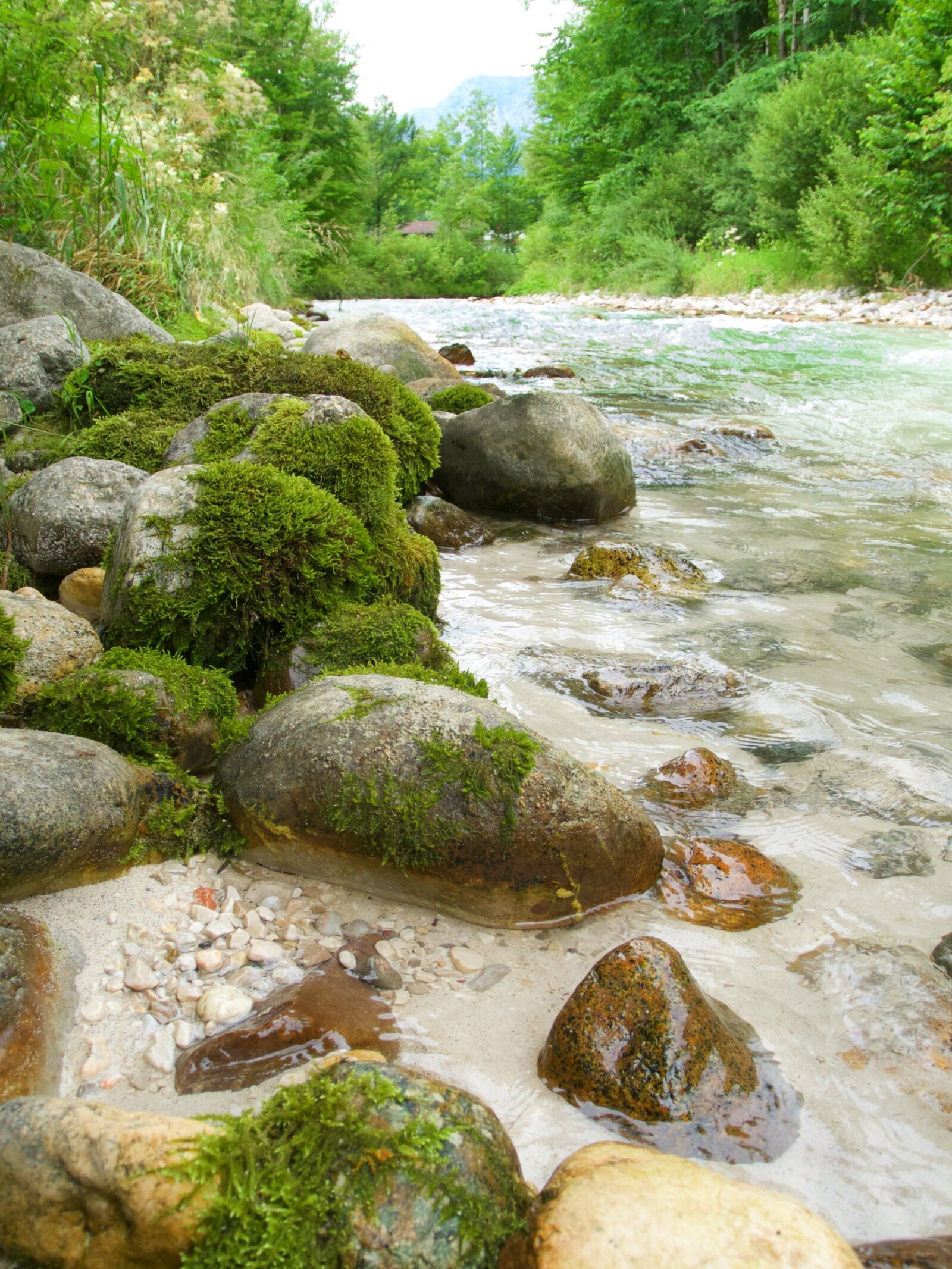 Nikon Coolpix P7100 sample photo. Creek, clammy, water photography