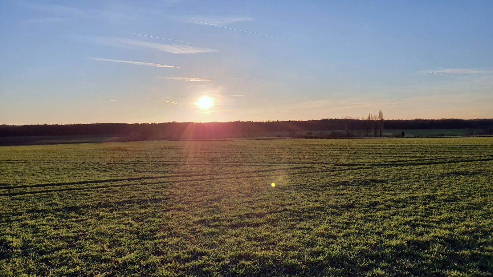 Samsung Galaxy S10 sample photo. Nature, landscape, sky photography