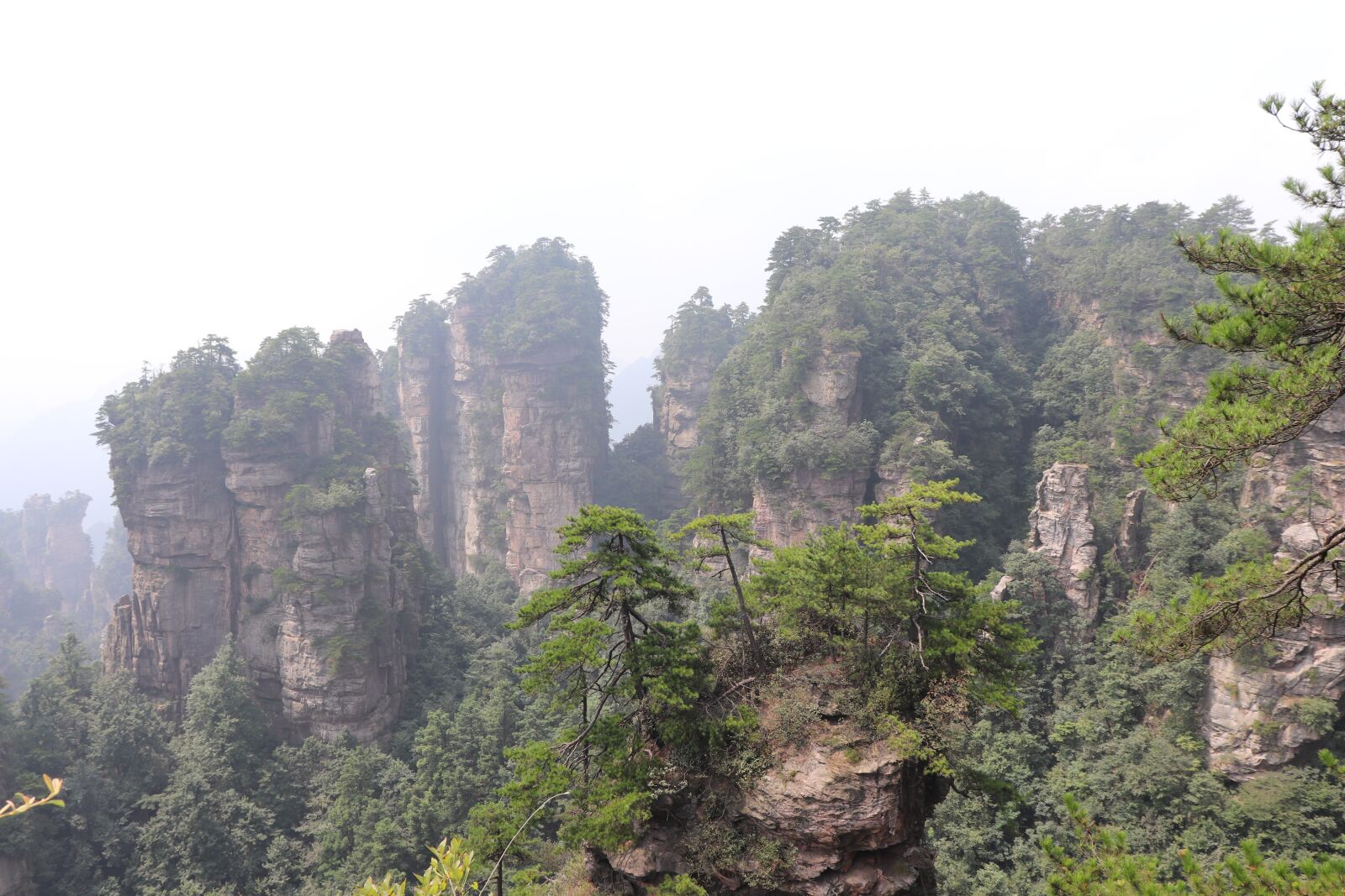 Canon EF-S 18-55mm F4-5.6 IS STM sample photo. Zhangjiajie, trees, mountain photography