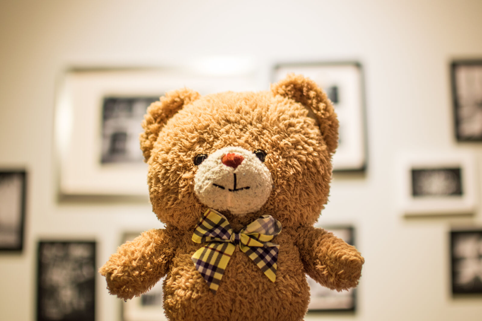 Nikon D3200 + Nikon AF-S DX Nikkor 35mm F1.8G sample photo. Brown, bear, plush, toy photography