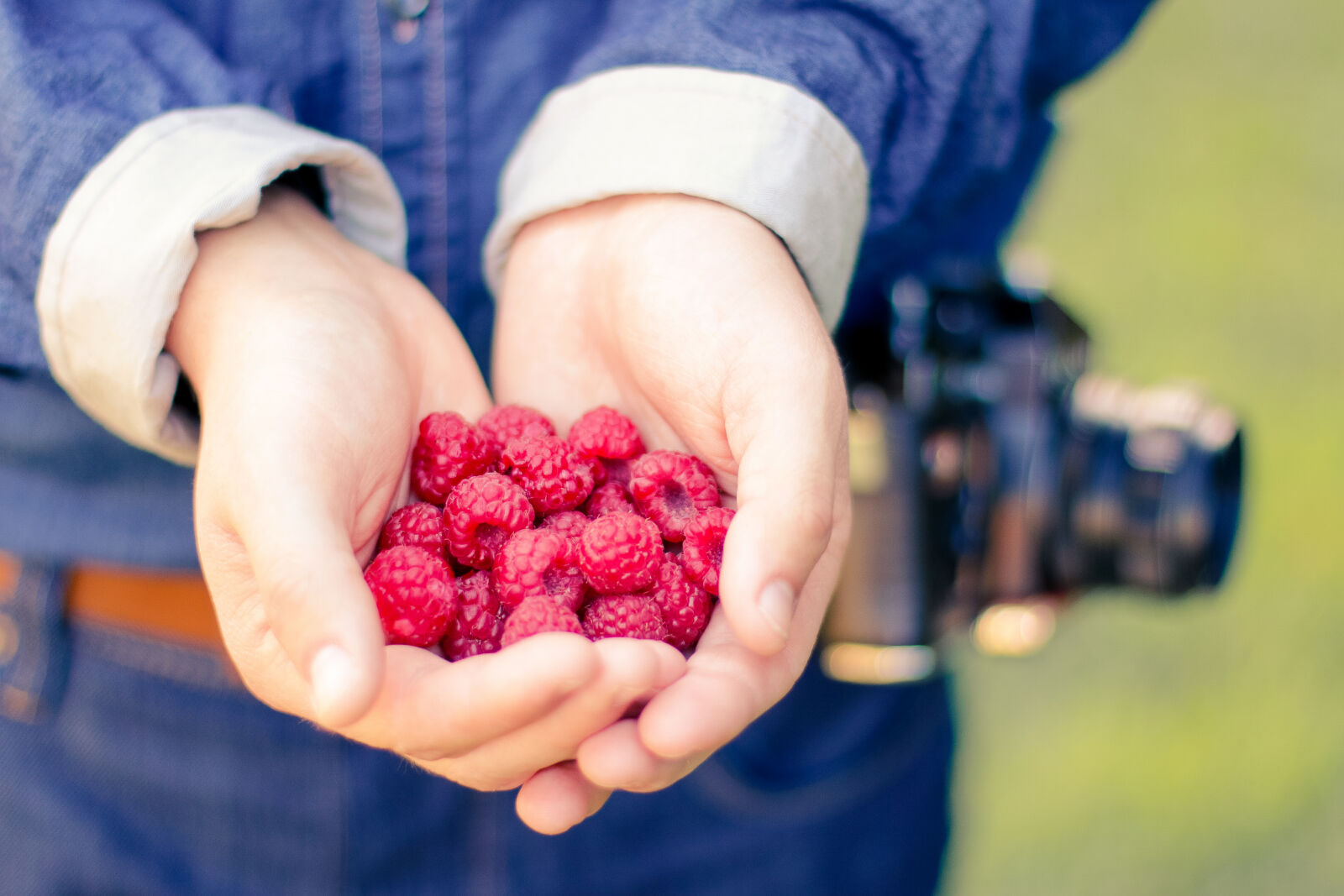 Canon EOS 70D + Canon EF 50mm F1.4 USM sample photo. Red, hands, camera, strawberries photography