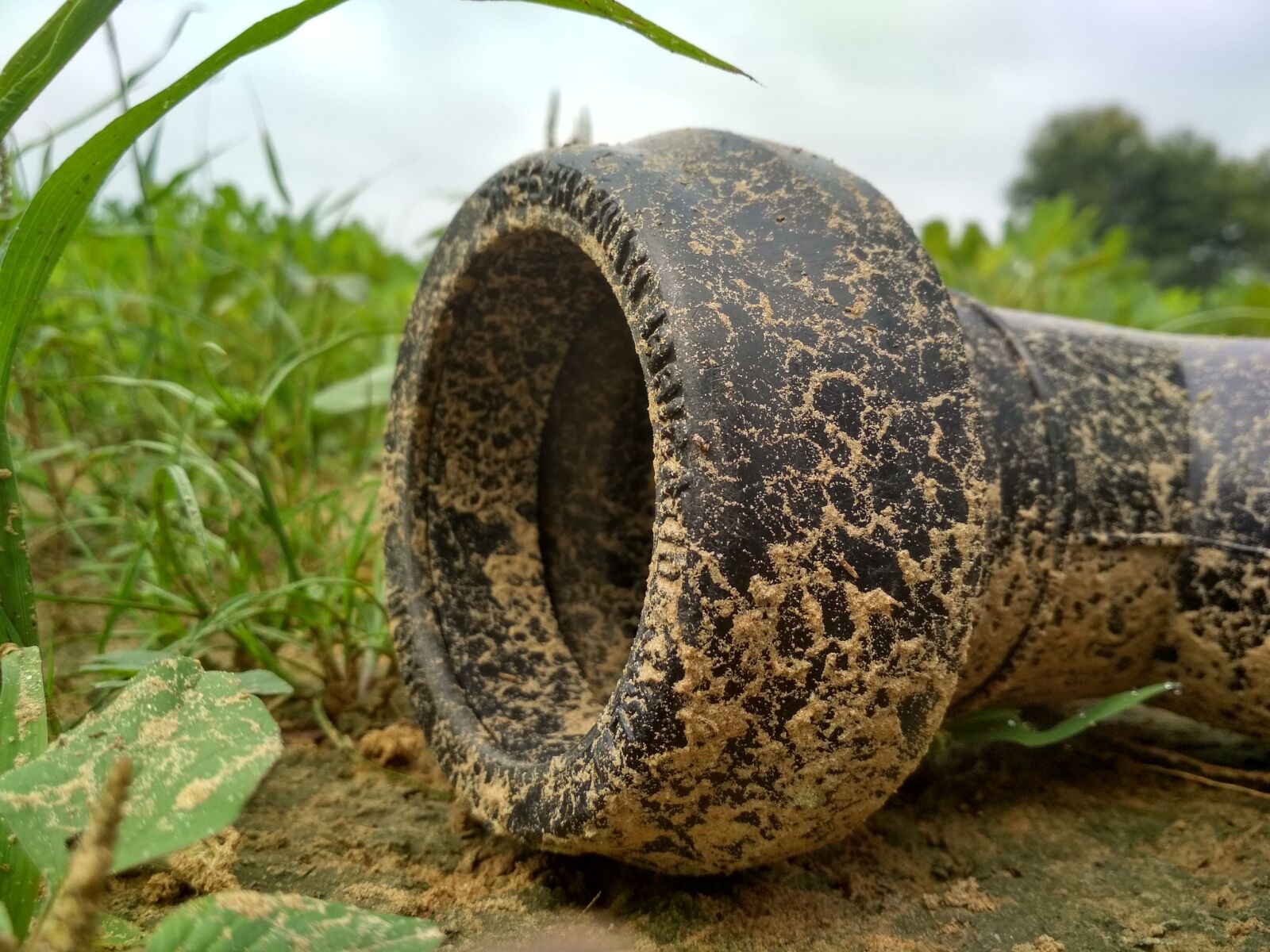 Xiaomi Redmi 4 Pro sample photo. Nature, pipe, chomu photography