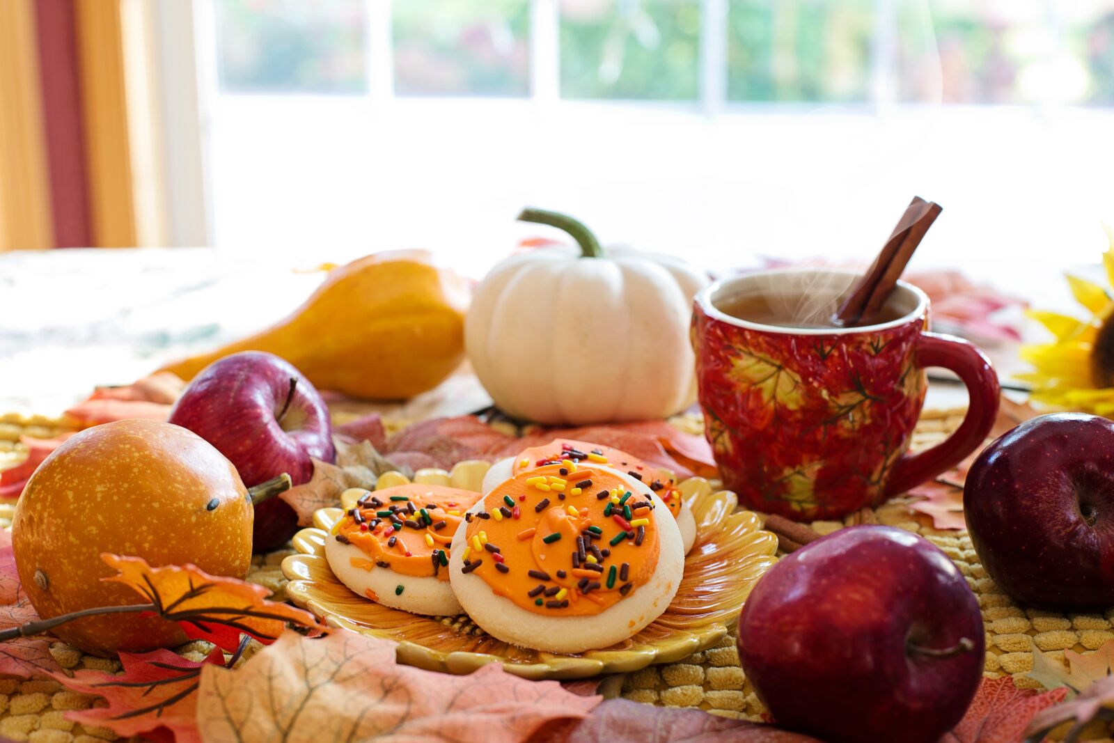 Canon EF 50mm F1.4 USM sample photo. Autumn, fall, cozy photography
