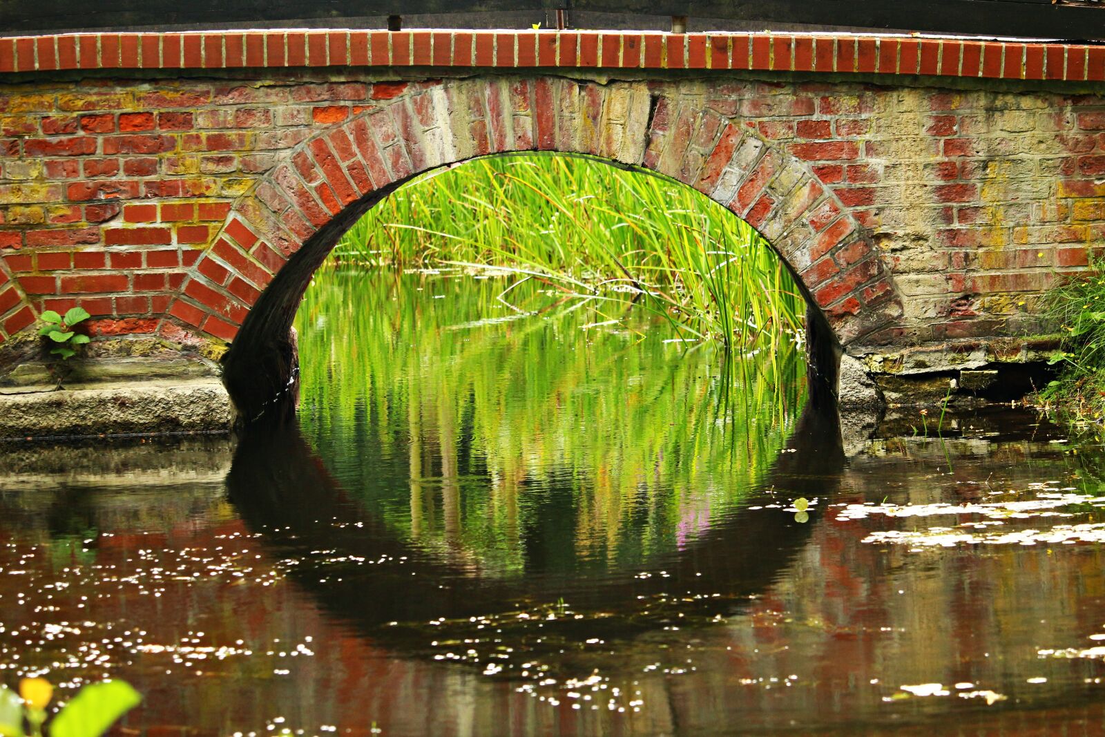 Canon EOS 100D (EOS Rebel SL1 / EOS Kiss X7) sample photo. Bridge, water, arch photography