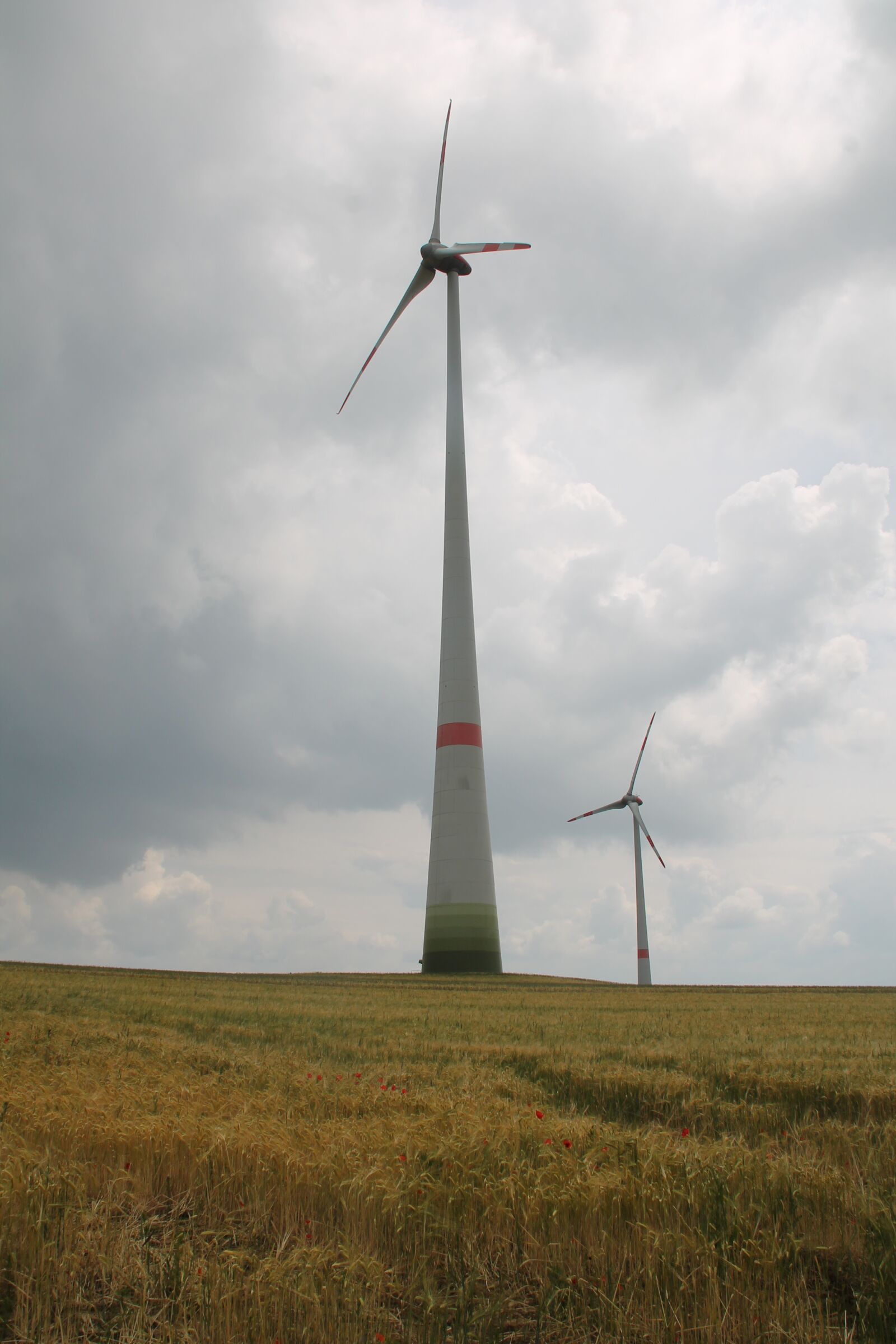 Canon EOS 1100D (EOS Rebel T3 / EOS Kiss X50) sample photo. Windmill, wind power, field photography