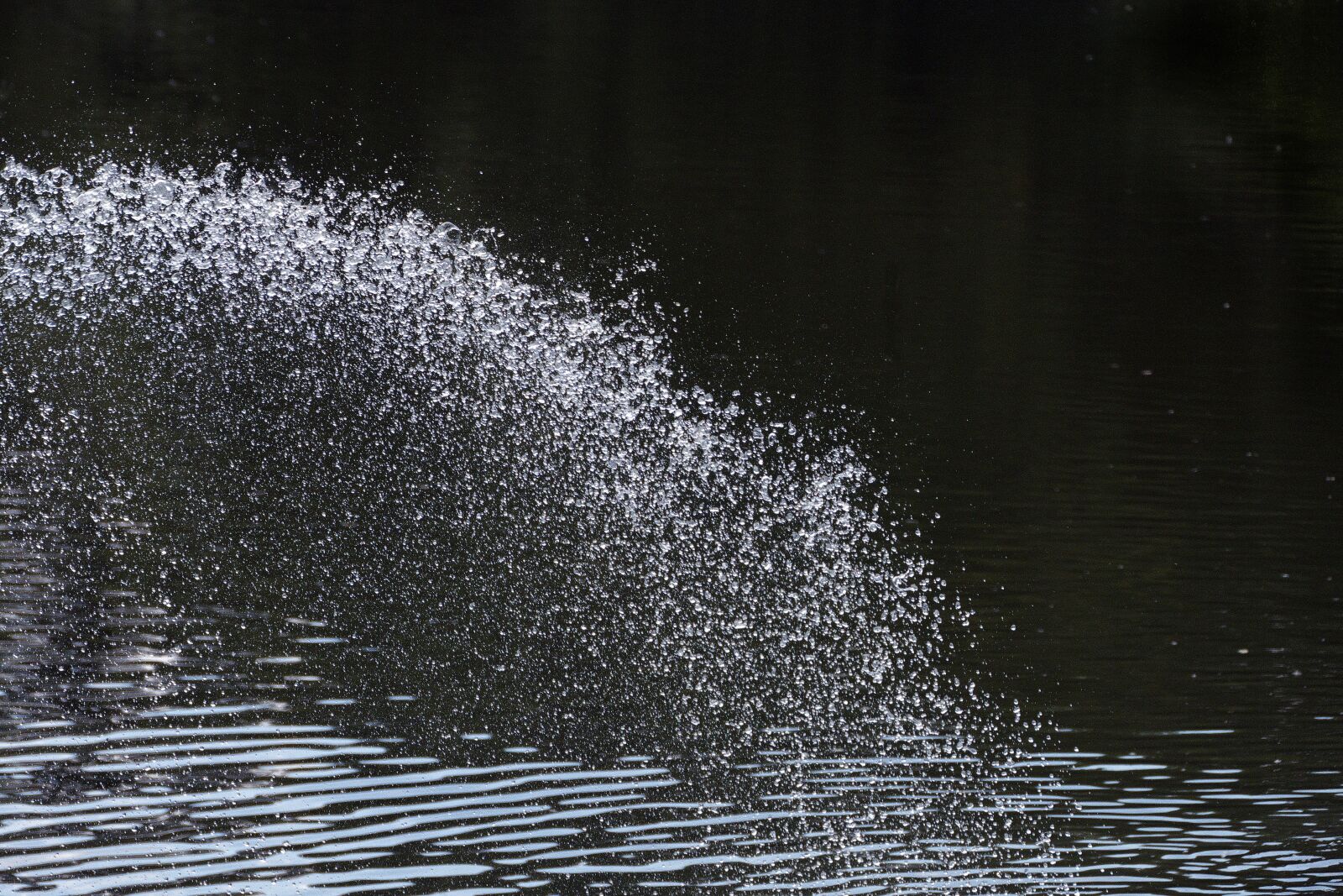 Panasonic Lumix DMC-FZ1000 sample photo. Water, drop of water photography