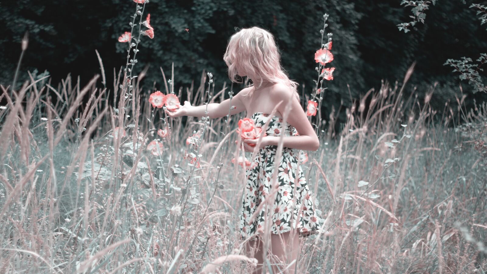 Canon EOS 60D sample photo. Girl collects flowers, nature photography