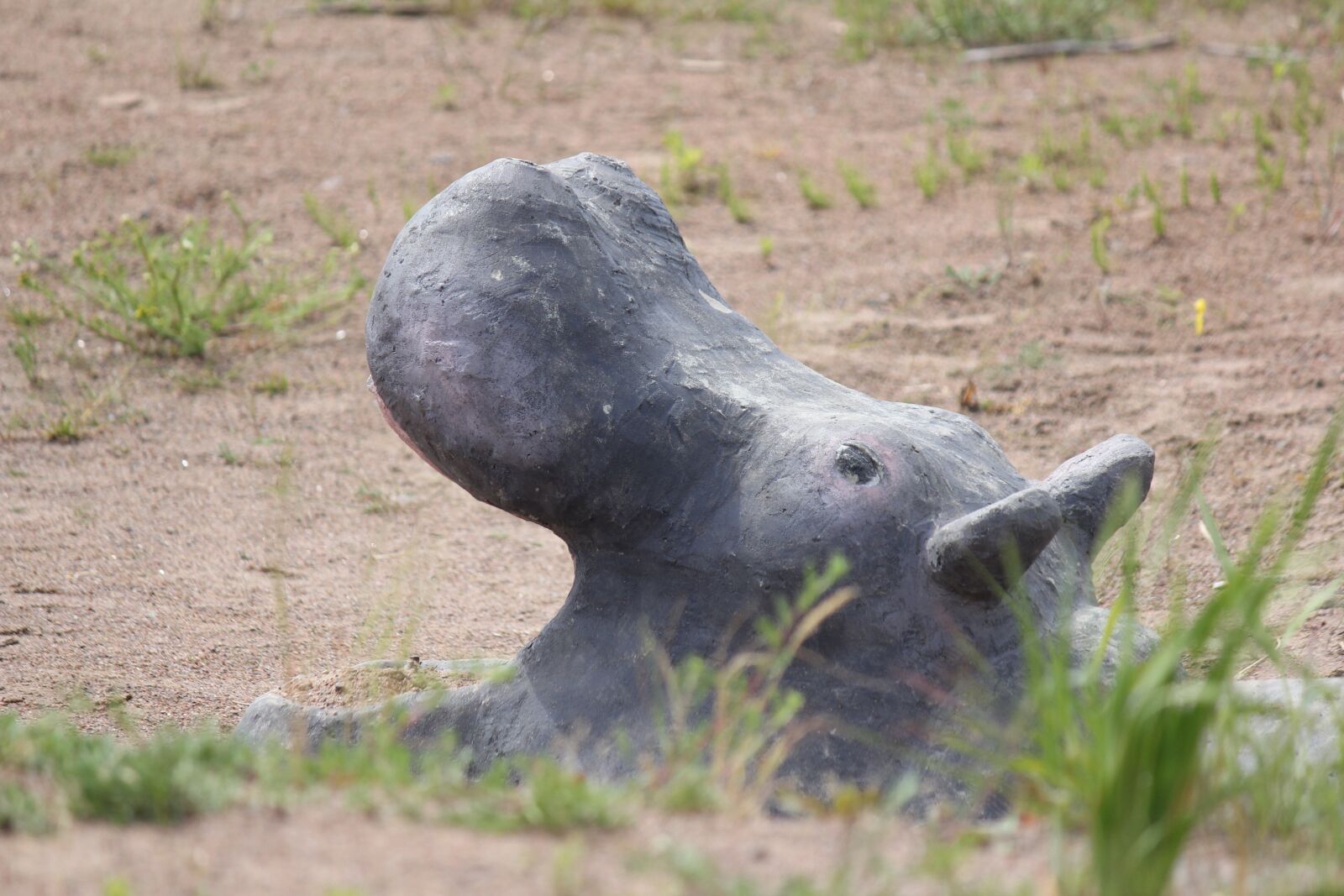 Canon EOS 60D + Canon EF-S 55-250mm F4-5.6 IS sample photo. The hippo, sculpture, creativity photography