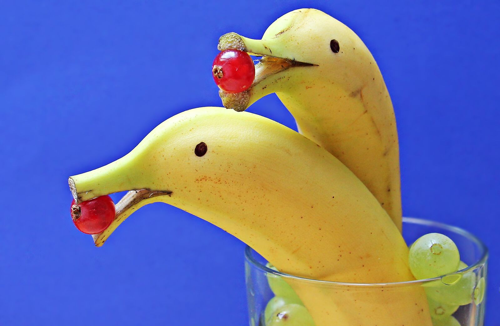 Canon EOS 550D (EOS Rebel T2i / EOS Kiss X4) sample photo. Bananas, deco, fruit photography