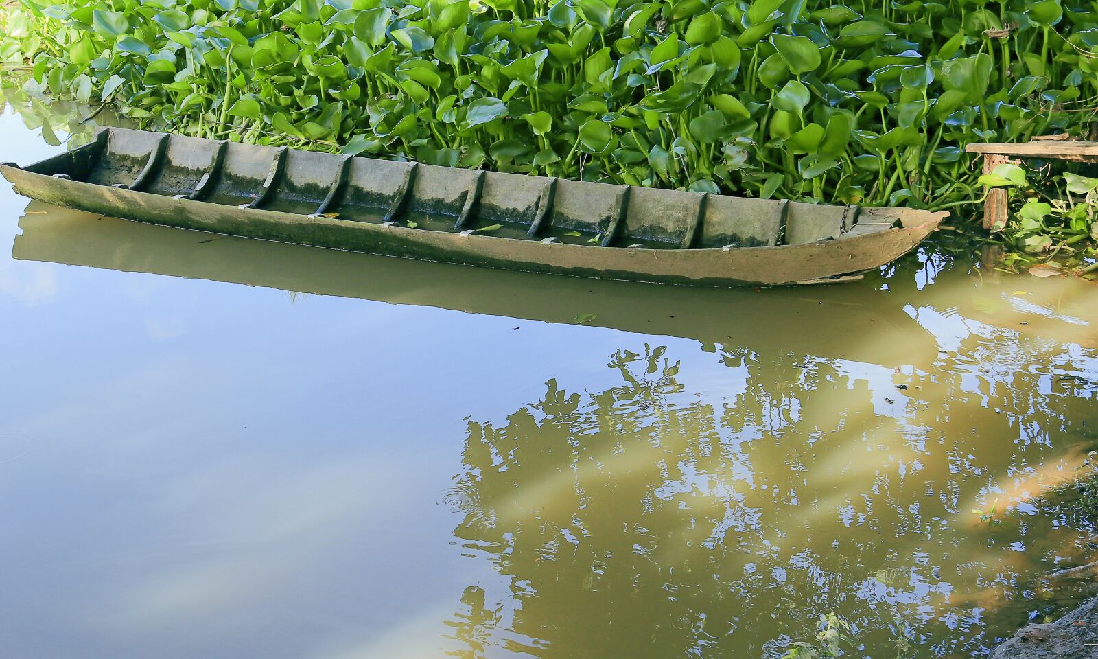 Canon EOS 80D sample photo. Vehicle, canoe wood, shade photography