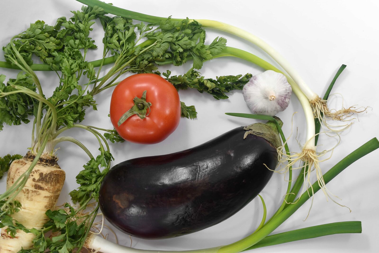Nikon D5500 sample photo. Celery, chive, eggplant, leek photography