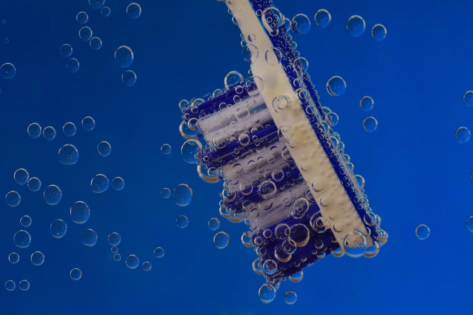 Nikon D3300 sample photo. Toothbrush, blue, clean photography