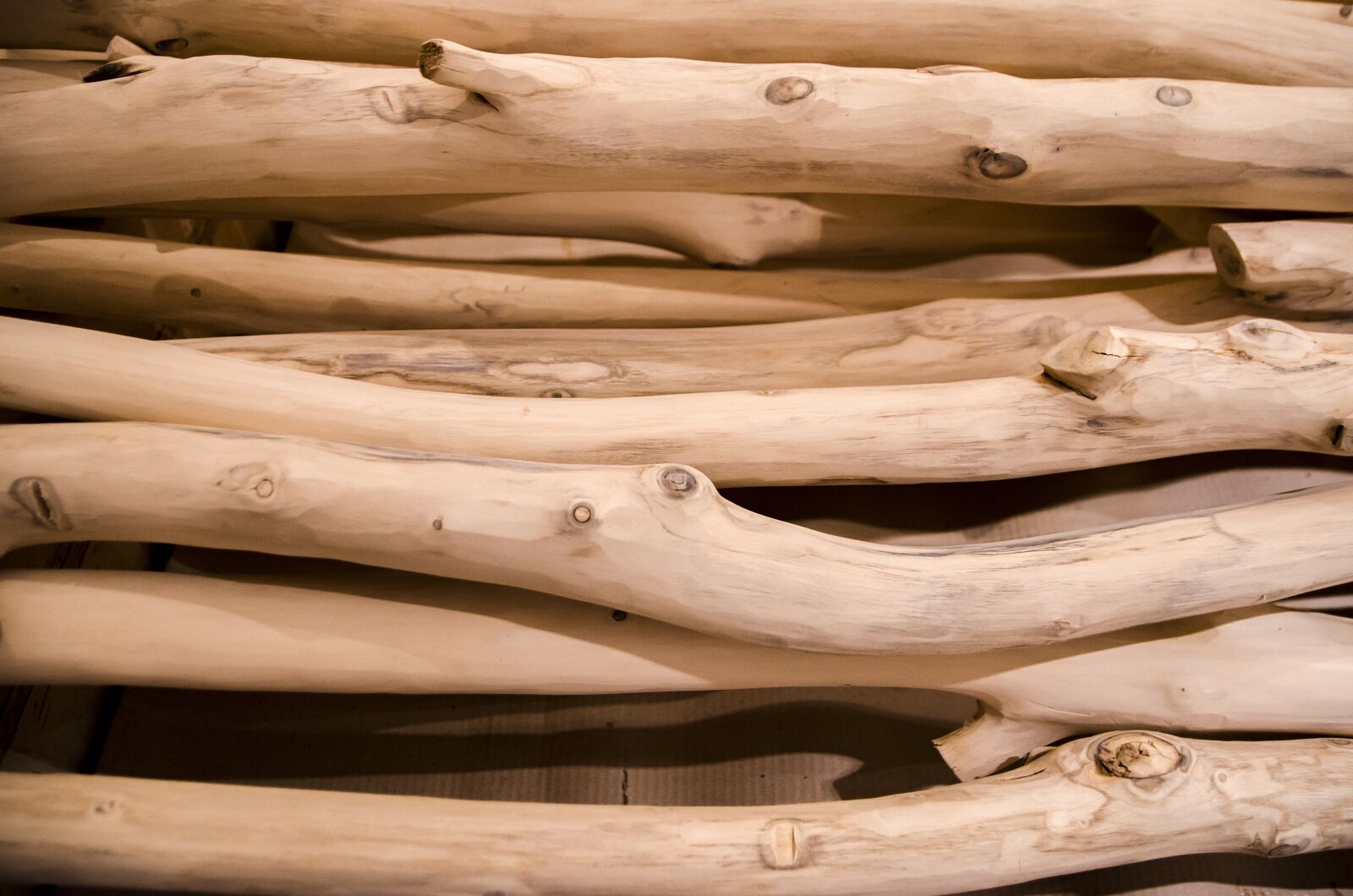 Nikon D7000 sample photo. Wood, log, timber photography