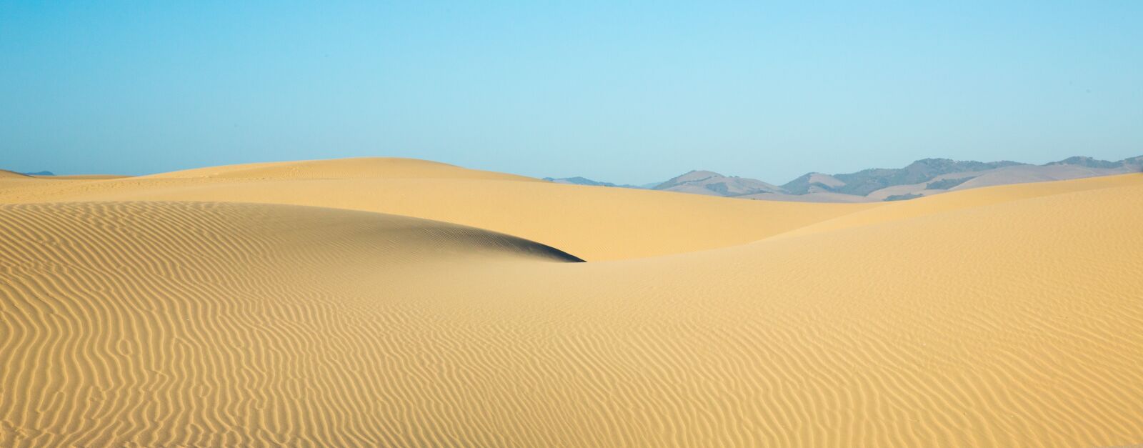 Canon EF 24-105mm F4L IS USM sample photo. Desert, dune, sand photography