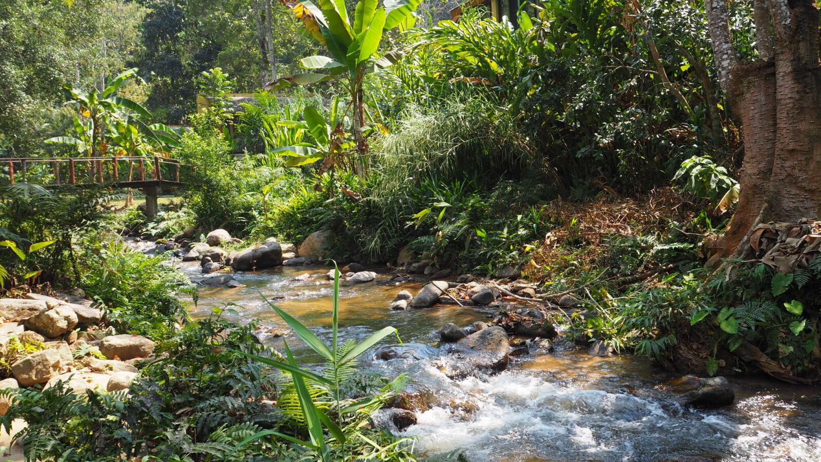 Olympus OM-D E-M10 II sample photo. Maekampong, chiang mai thailand photography