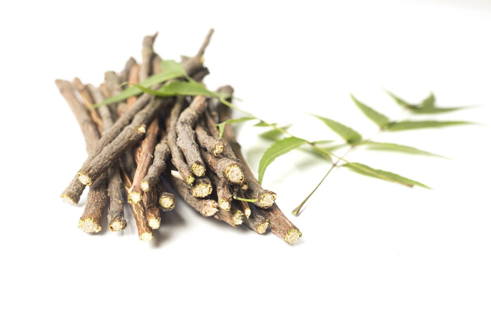 Canon EOS 5D Mark III sample photo. Ayurveda, ayurveda herbs, beauty photography