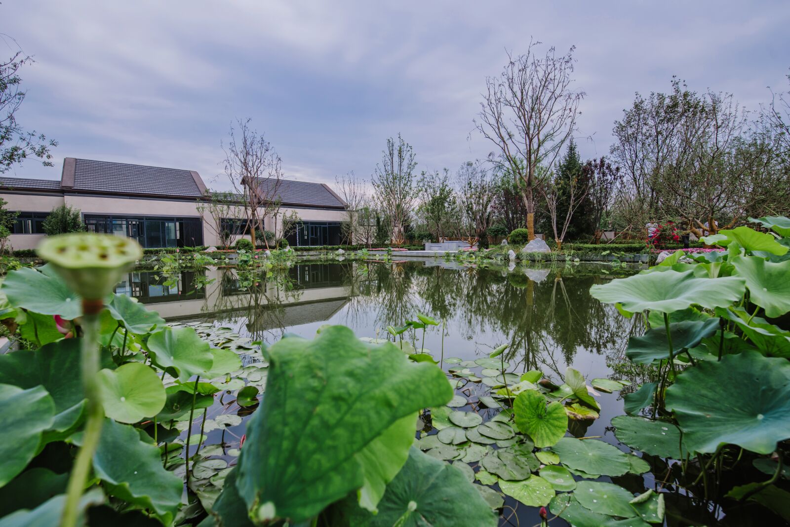 Nikon D750 sample photo. Pond, villa, demonstration area photography