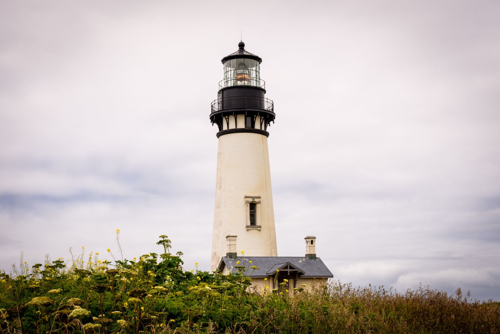 Nikon D7200 sample photo. Lighthouse, nature, flowers photography