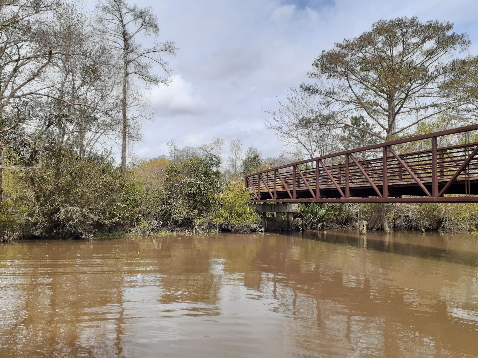 Samsung Galaxy A20 sample photo. Outdoors, swamp, louisiana photography