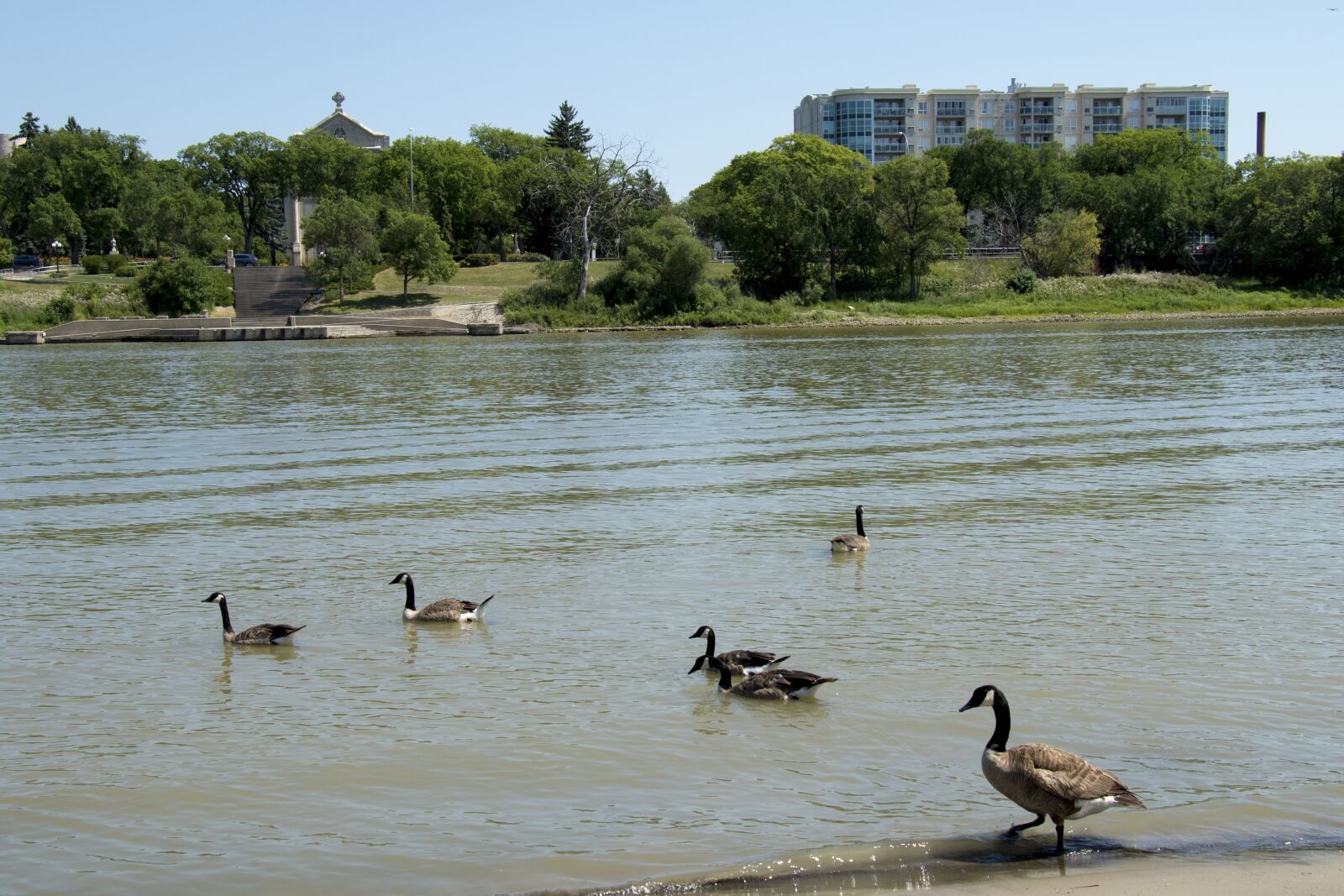 Canon EOS 7D Mark II sample photo. Water, nature, river photography