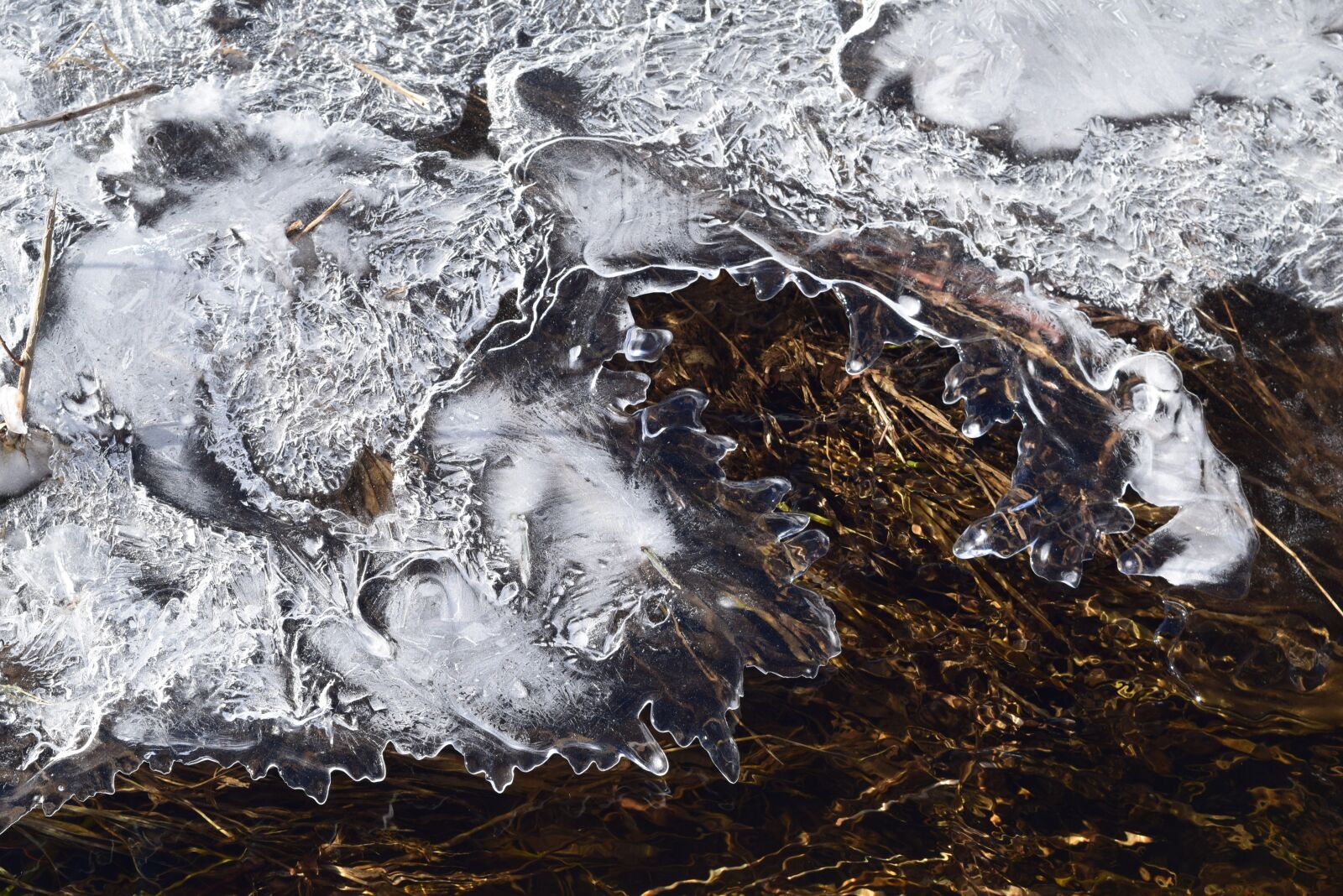 Nikon D3300 sample photo. Ice, stream, winter photography