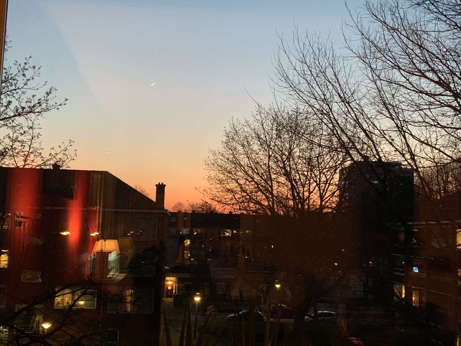 Apple iPhone XS sample photo. Sunset, winter, tree photography