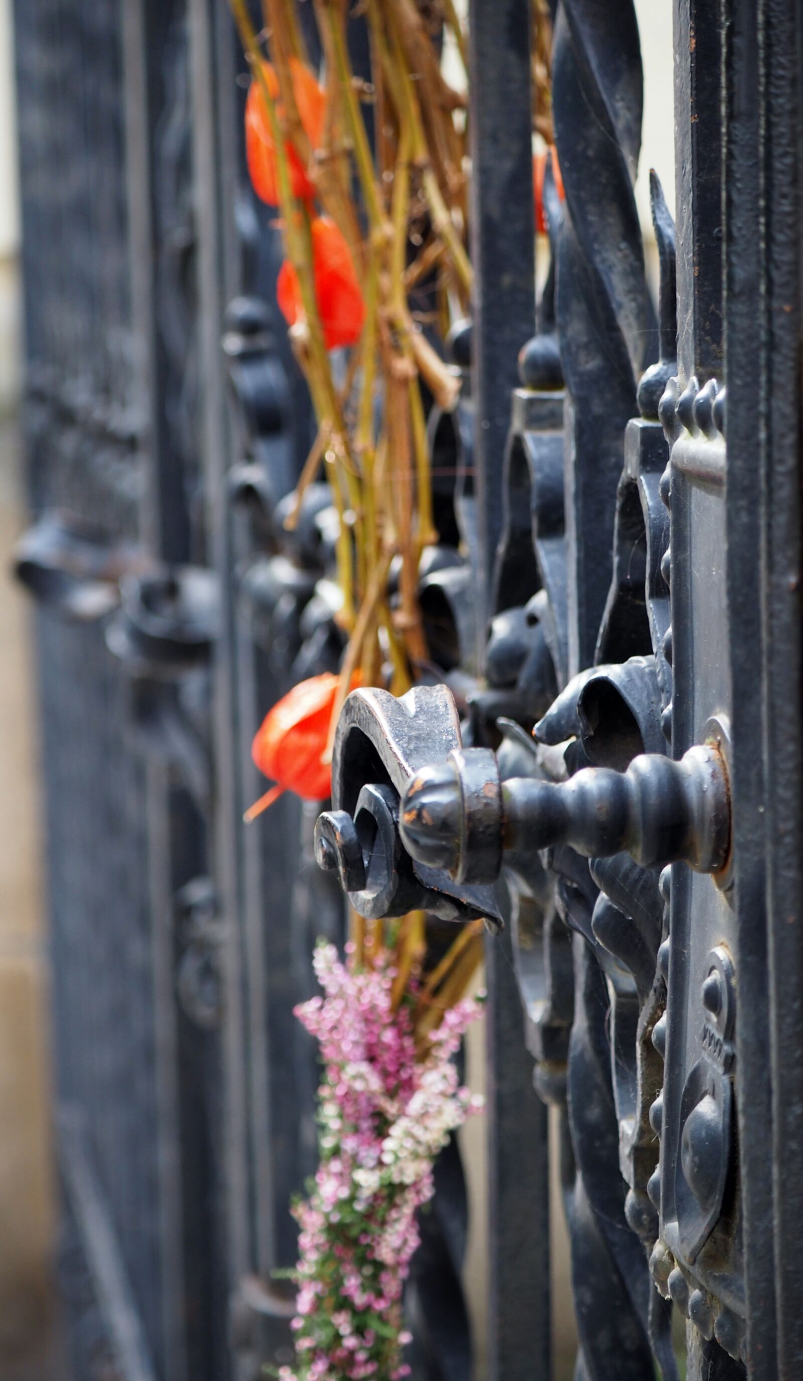 Olympus OM-D E-M10 II + LUMIX G VARIO 45-150/F4.0-5.6 sample photo. Flowers, gate, history photography