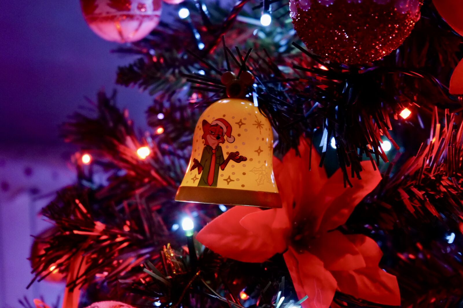 Panasonic DC-S5D sample photo
