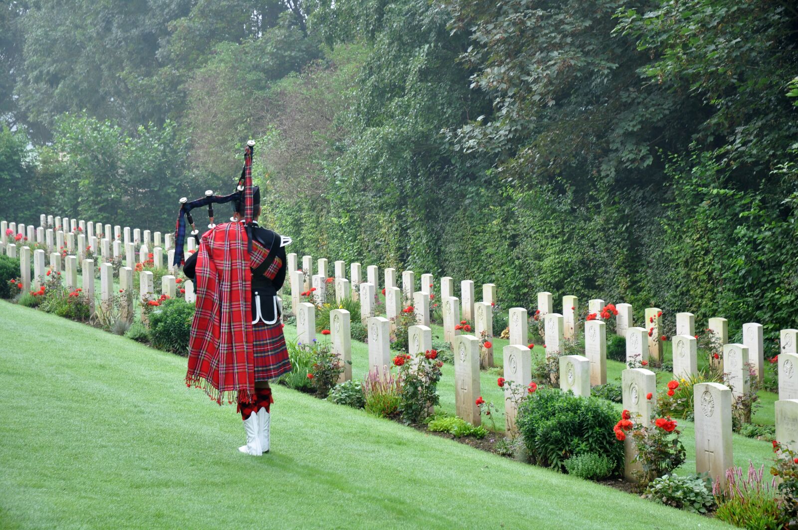 Nikon D90 sample photo. Cemetery, military cemetery, veteran photography