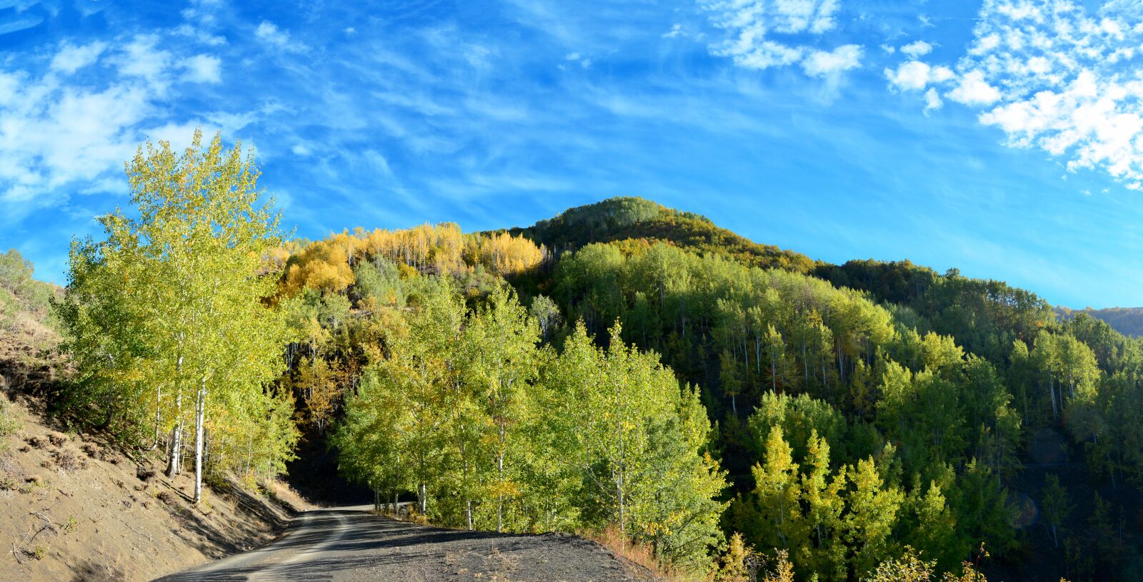 Nikon D7100 sample photo. Autumn, season, nature photography