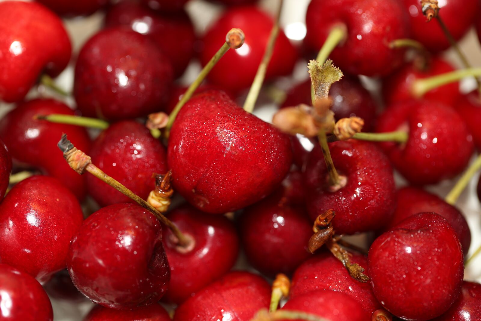 Canon EF 100mm F2.8L Macro IS USM sample photo. Churches, fruit, harvest photography