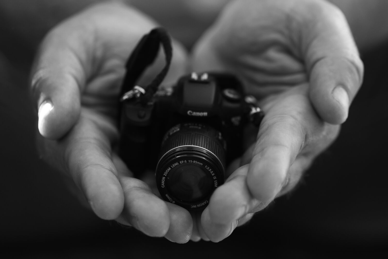 Canon EOS 7D Mark II sample photo. Camera, canon, hands photography