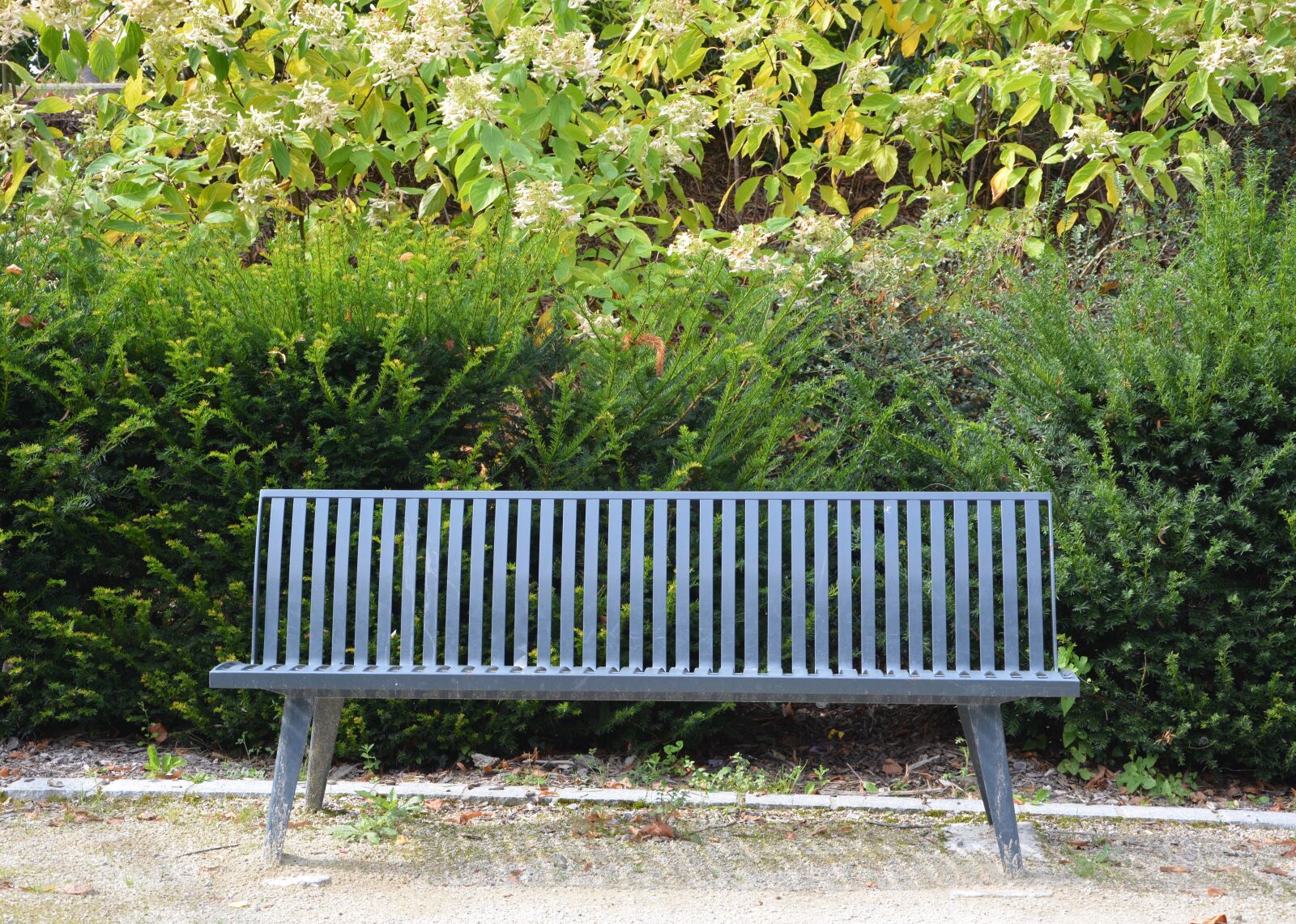 Nikon D5200 sample photo. Public bench, sitting, relax photography
