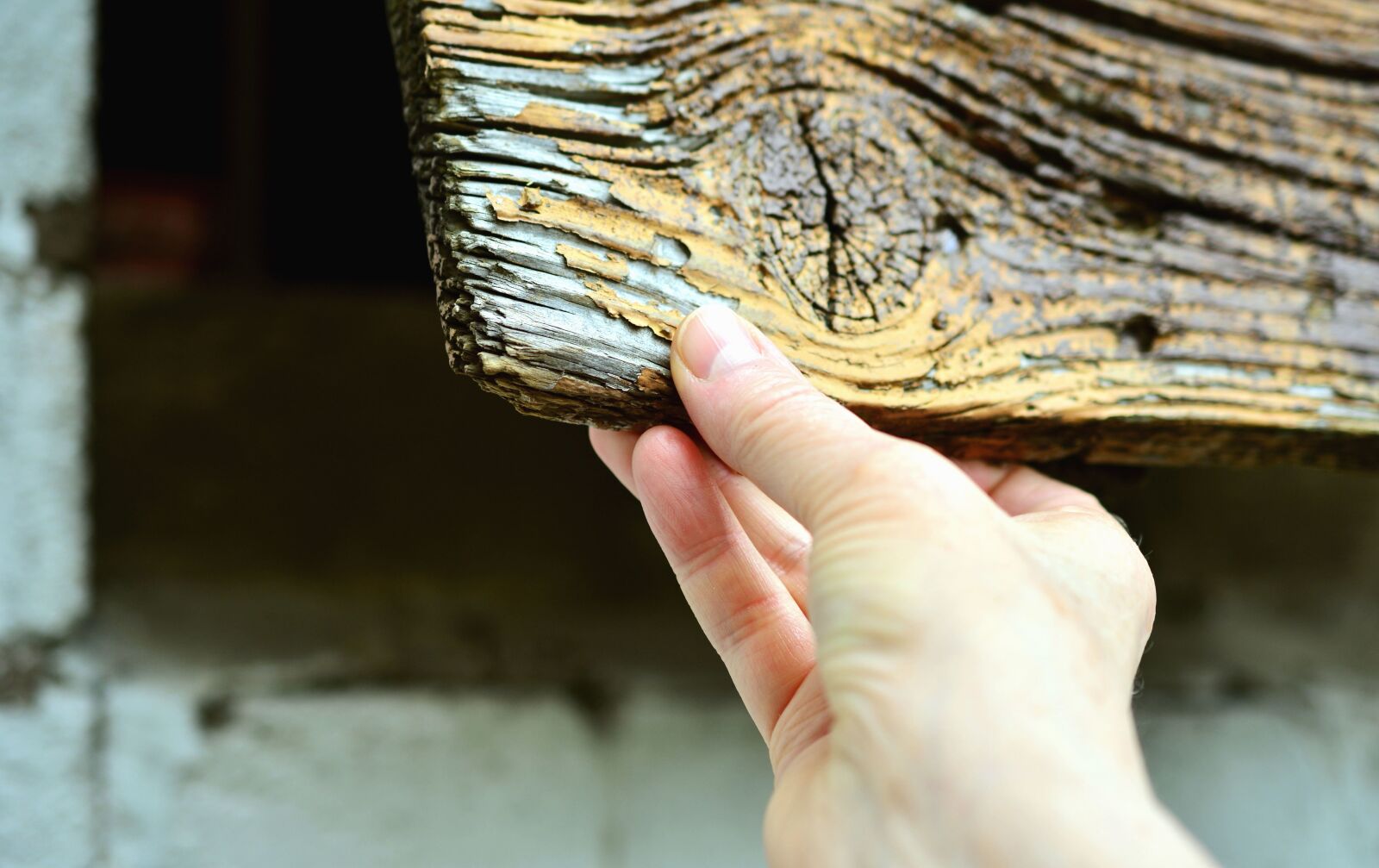 Nikon D5200 sample photo. Brick, facade, wood, hand photography